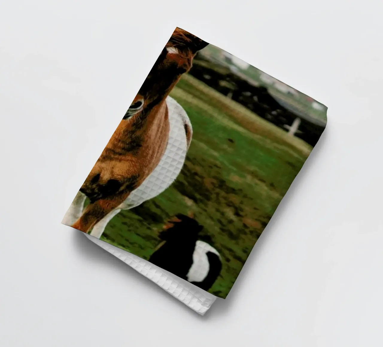 Shetland Ponies canovaccio da cucina da Natural Kingdom