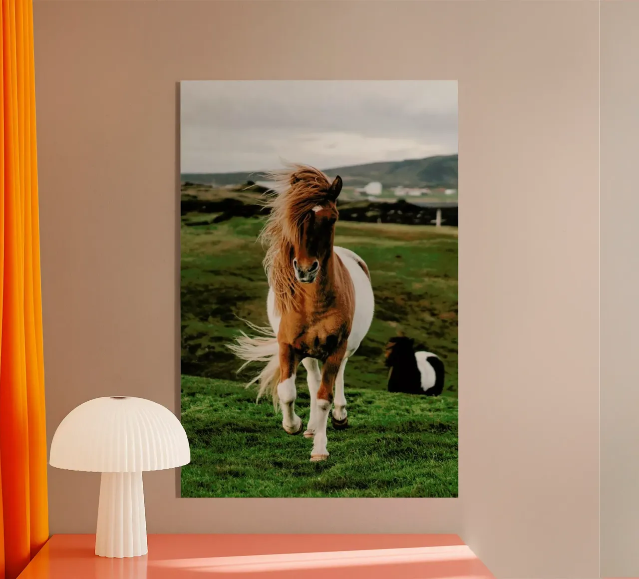 Shetland Ponies plexiglass da Natural Kingdom