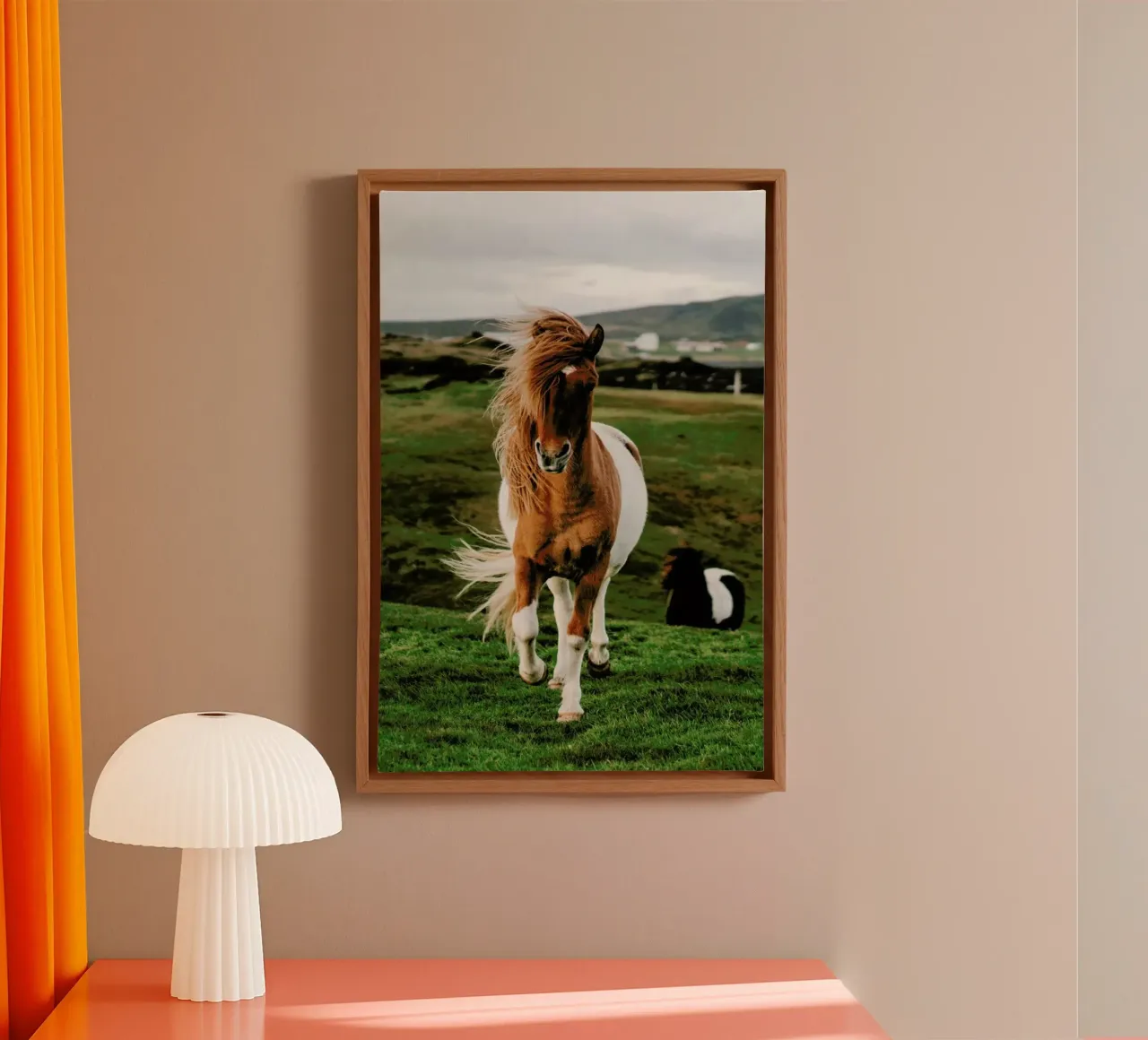 Shetland Ponies canvas by Natural Kingdom