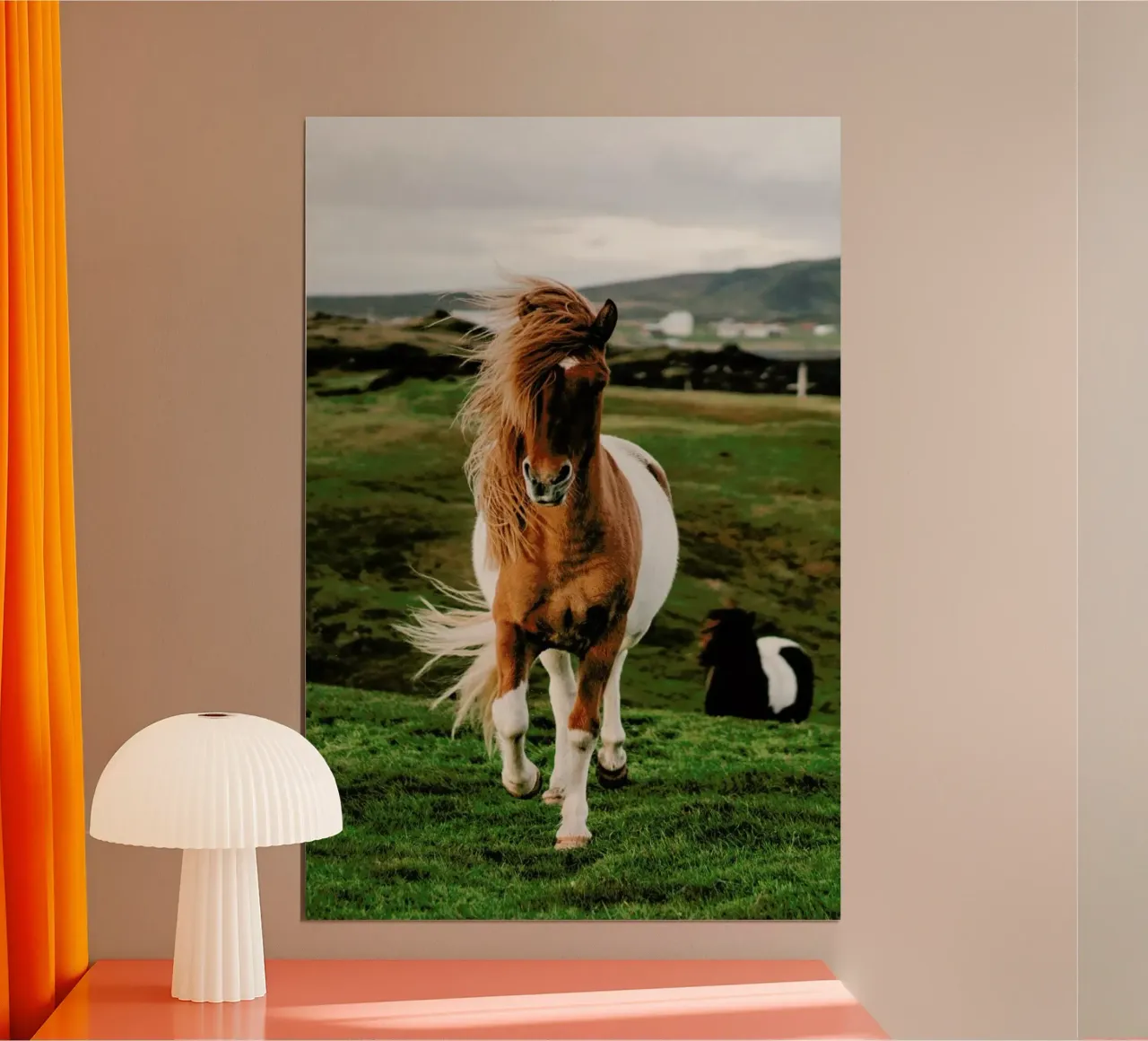 Shetland Ponies carta hahnemühle da Natural Kingdom