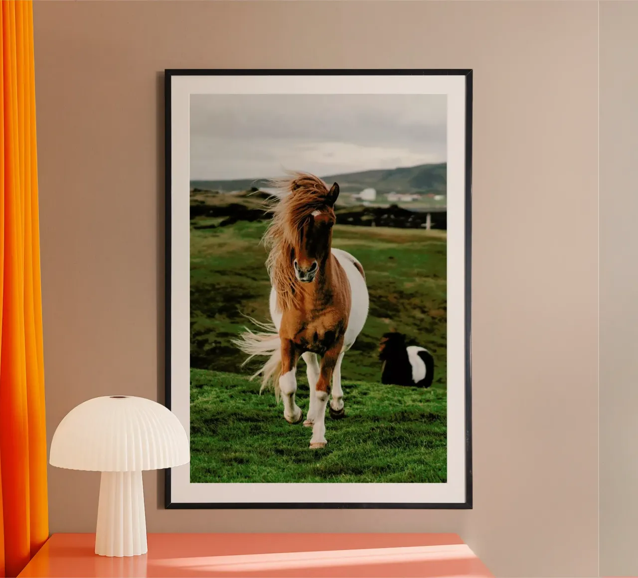 Shetland Ponies carta hahnemühle da Natural Kingdom