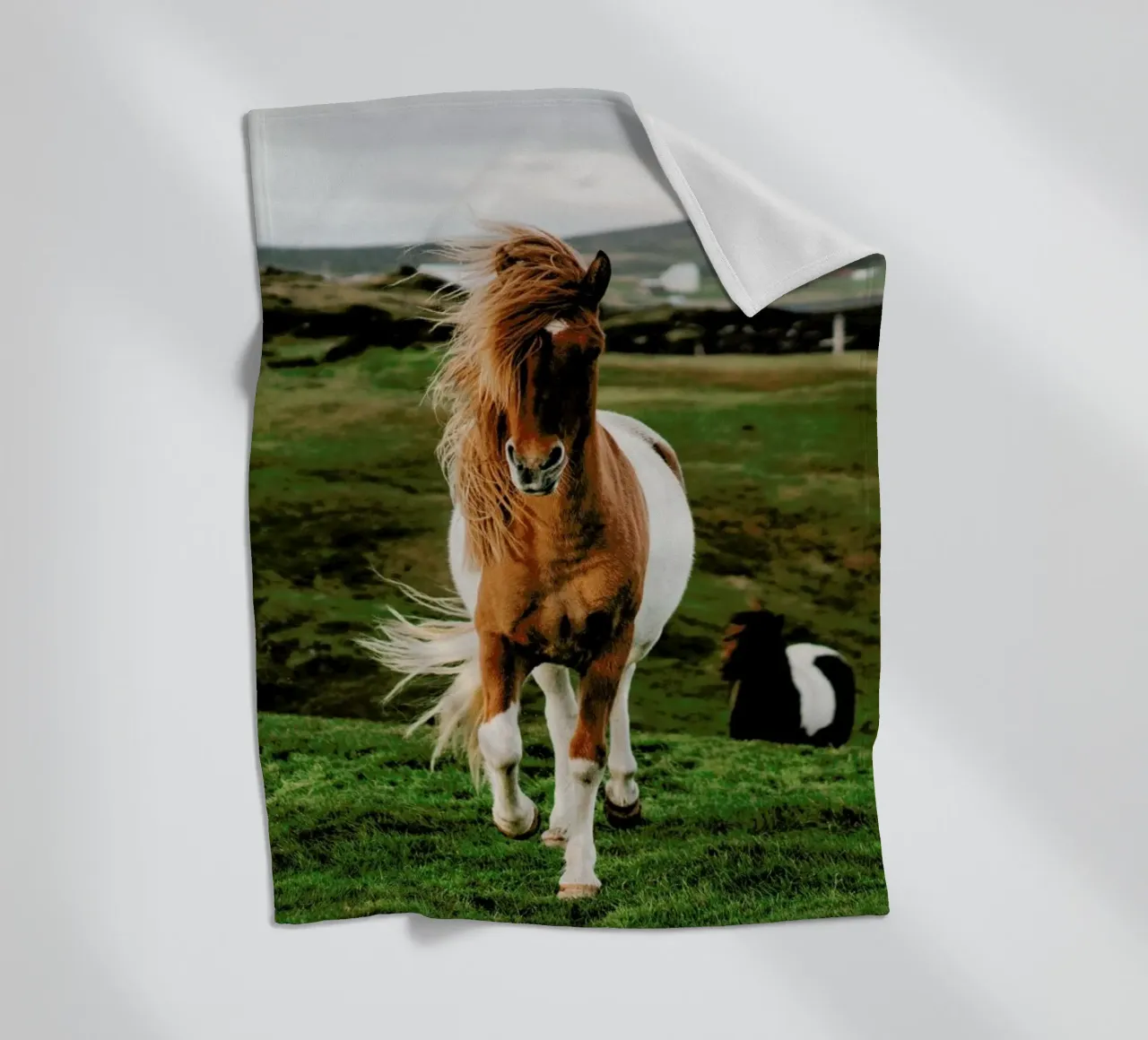 Shetland Ponies fleece blanket by Natural Kingdom