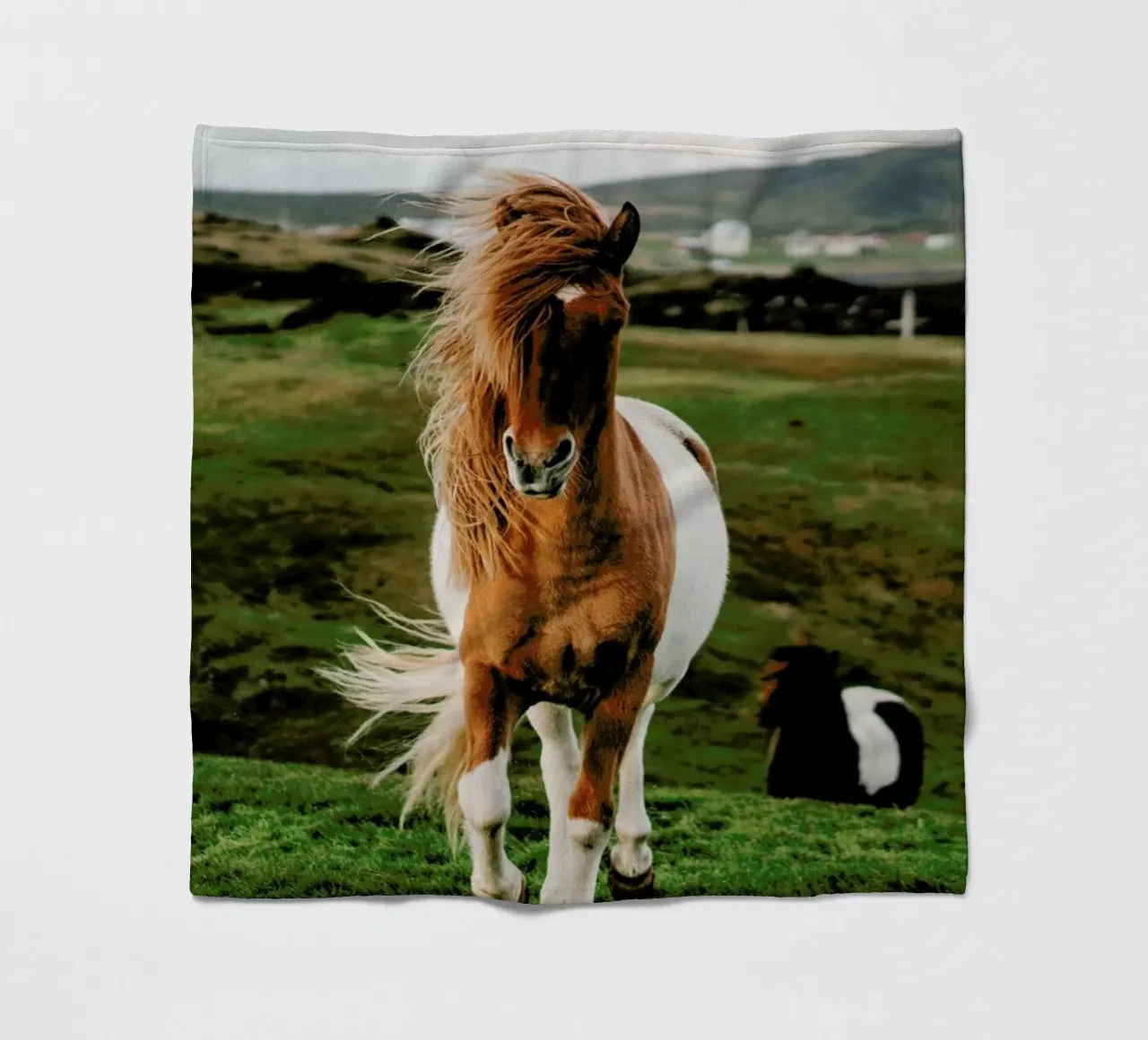 Shetland Ponies fleece blanket by Natural Kingdom