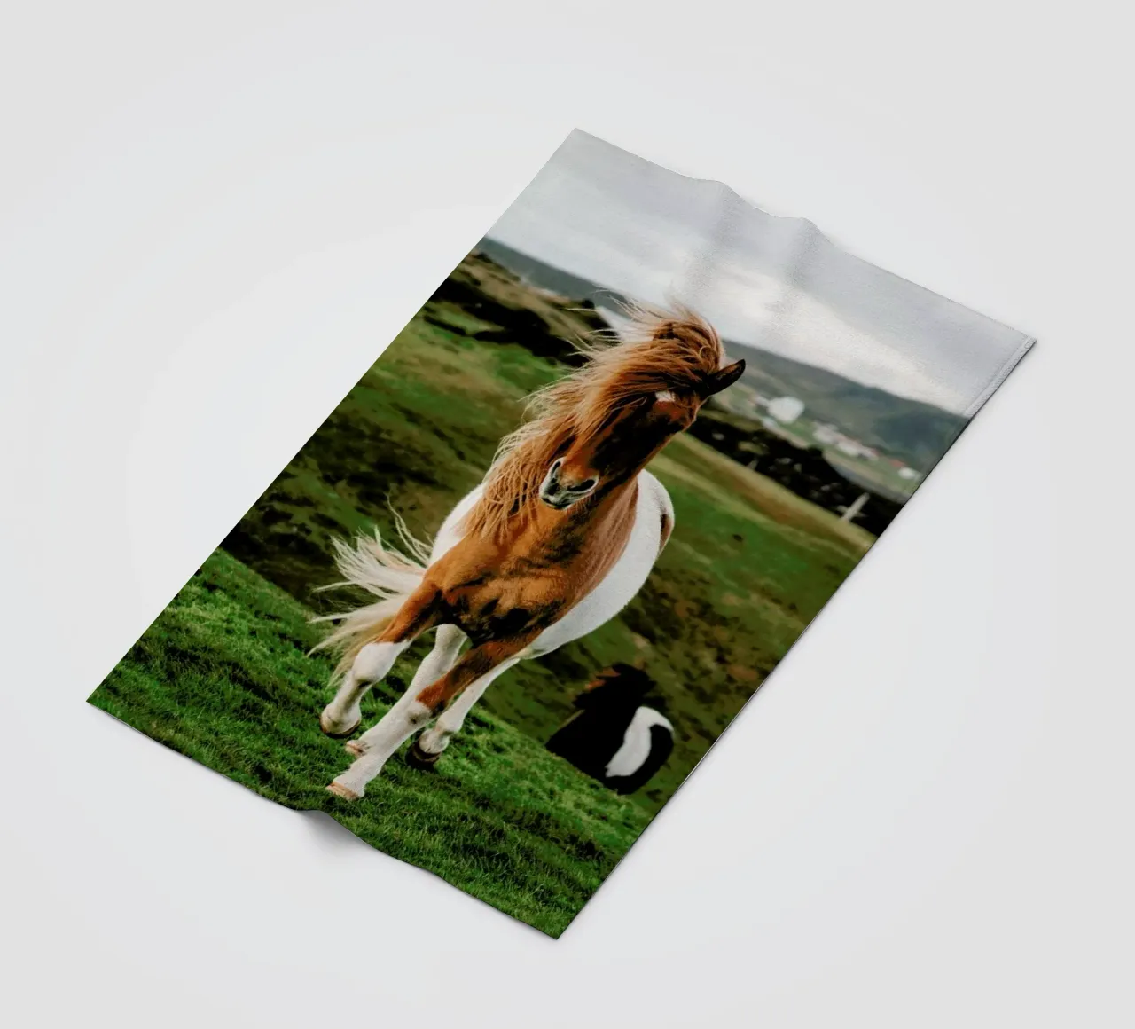 Shetland Ponies fleece blanket by Natural Kingdom