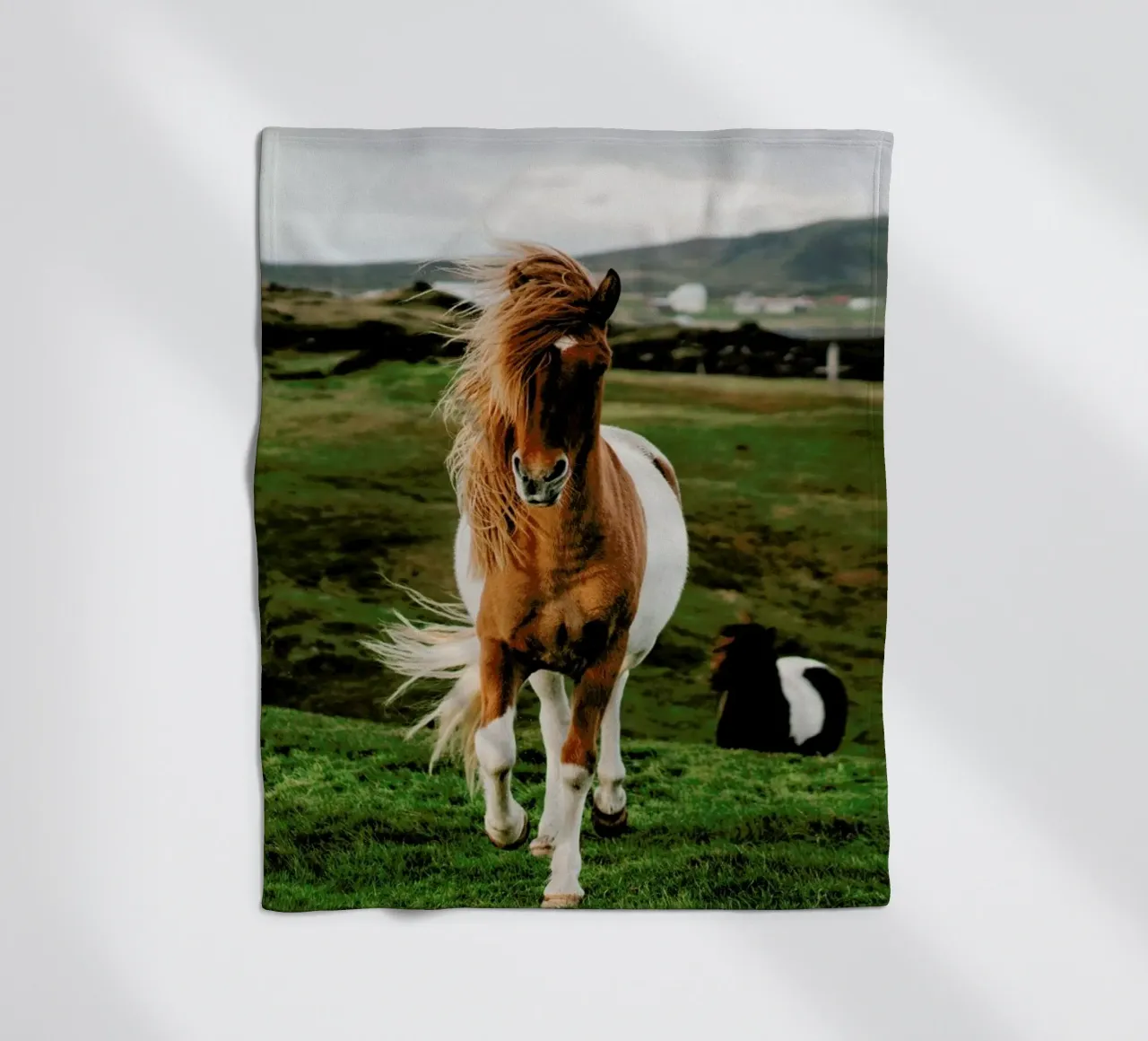 Shetland Ponies fleece blanket by Natural Kingdom