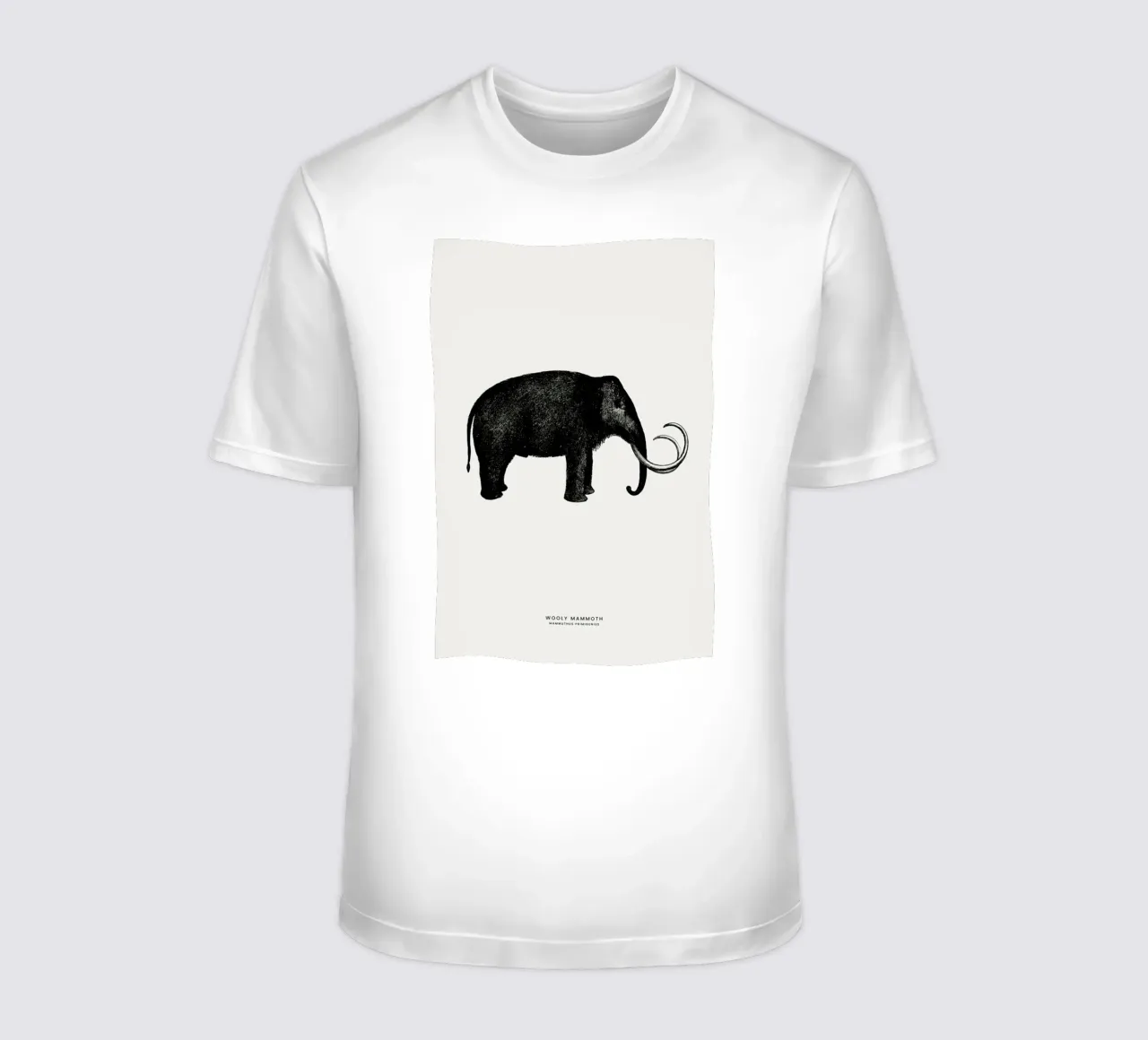 Mammoth t-shirt da Flora & Fauna