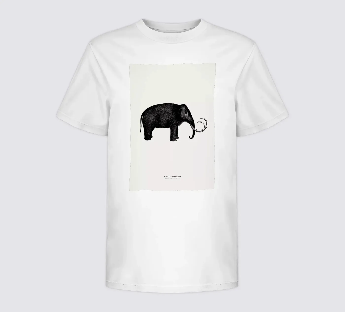 Mammoth t-shirt bambini da Flora & Fauna