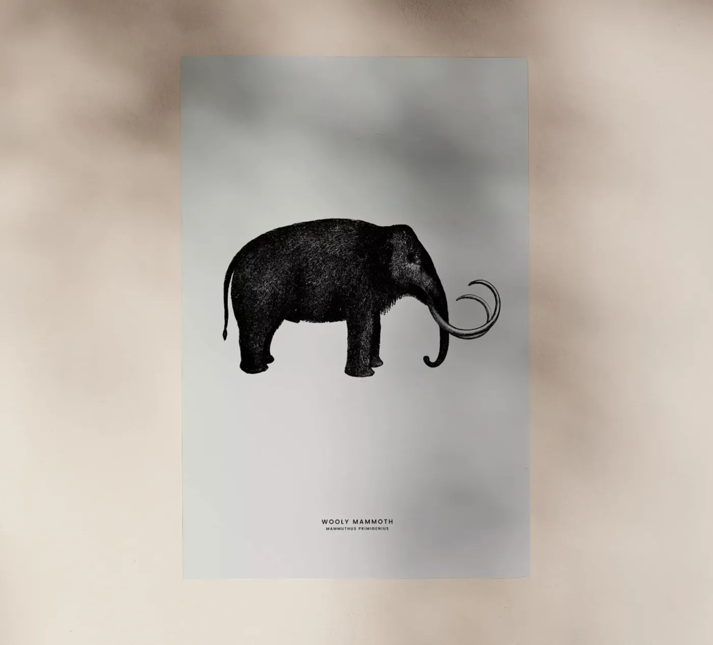 Mammoth pellicola backlit da Flora & Fauna