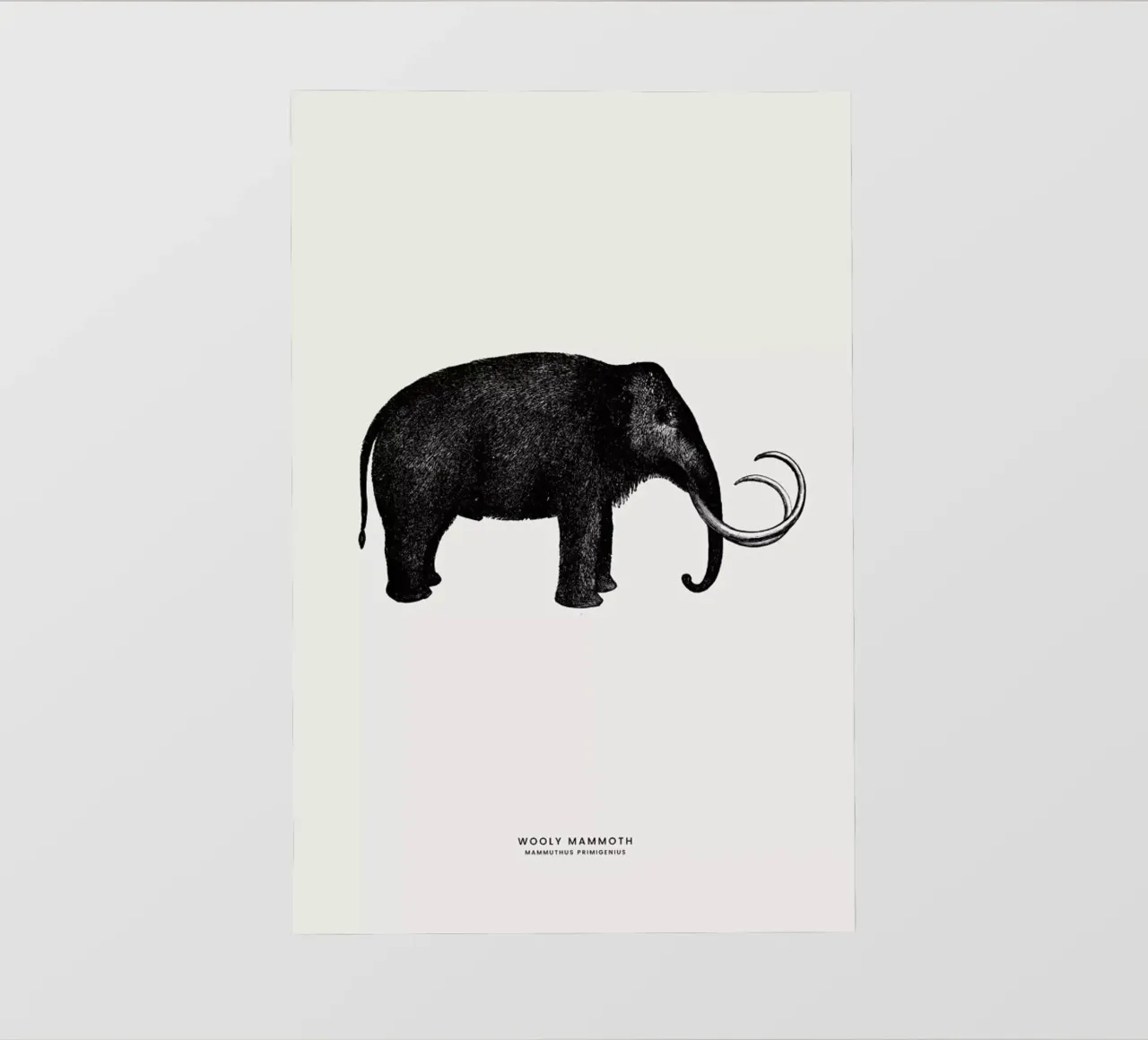 Mammoth pellicola backlit da Flora & Fauna