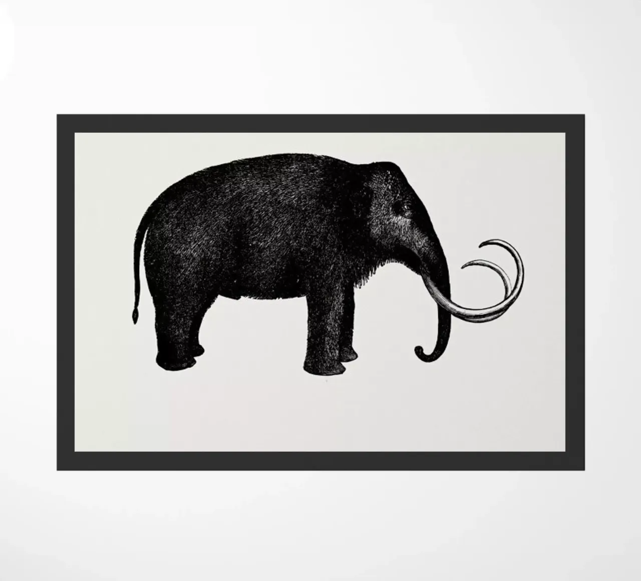 Mammoth zerbino da Flora & Fauna