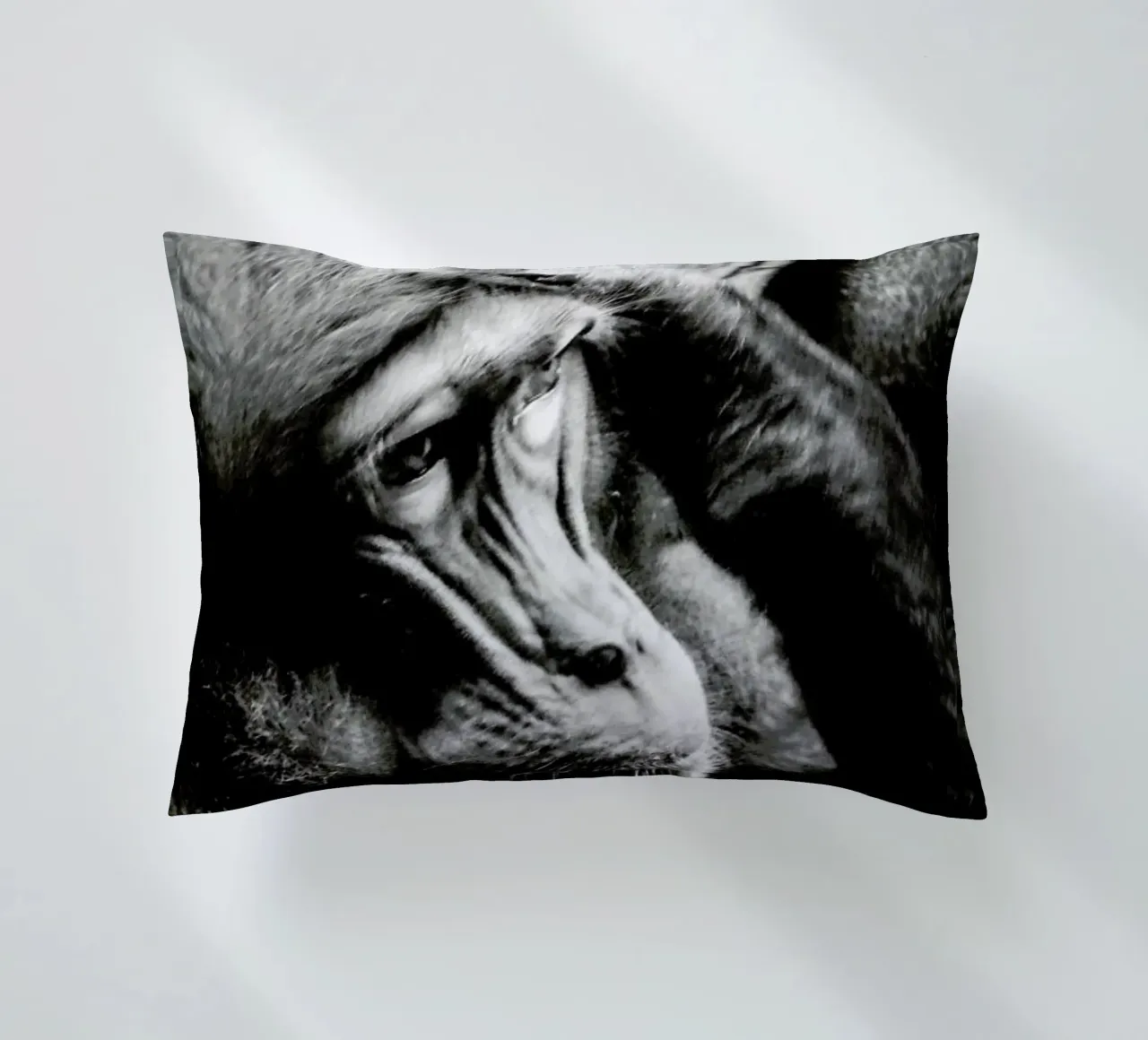 Monkey Grooming cuscino da Babett Schultze