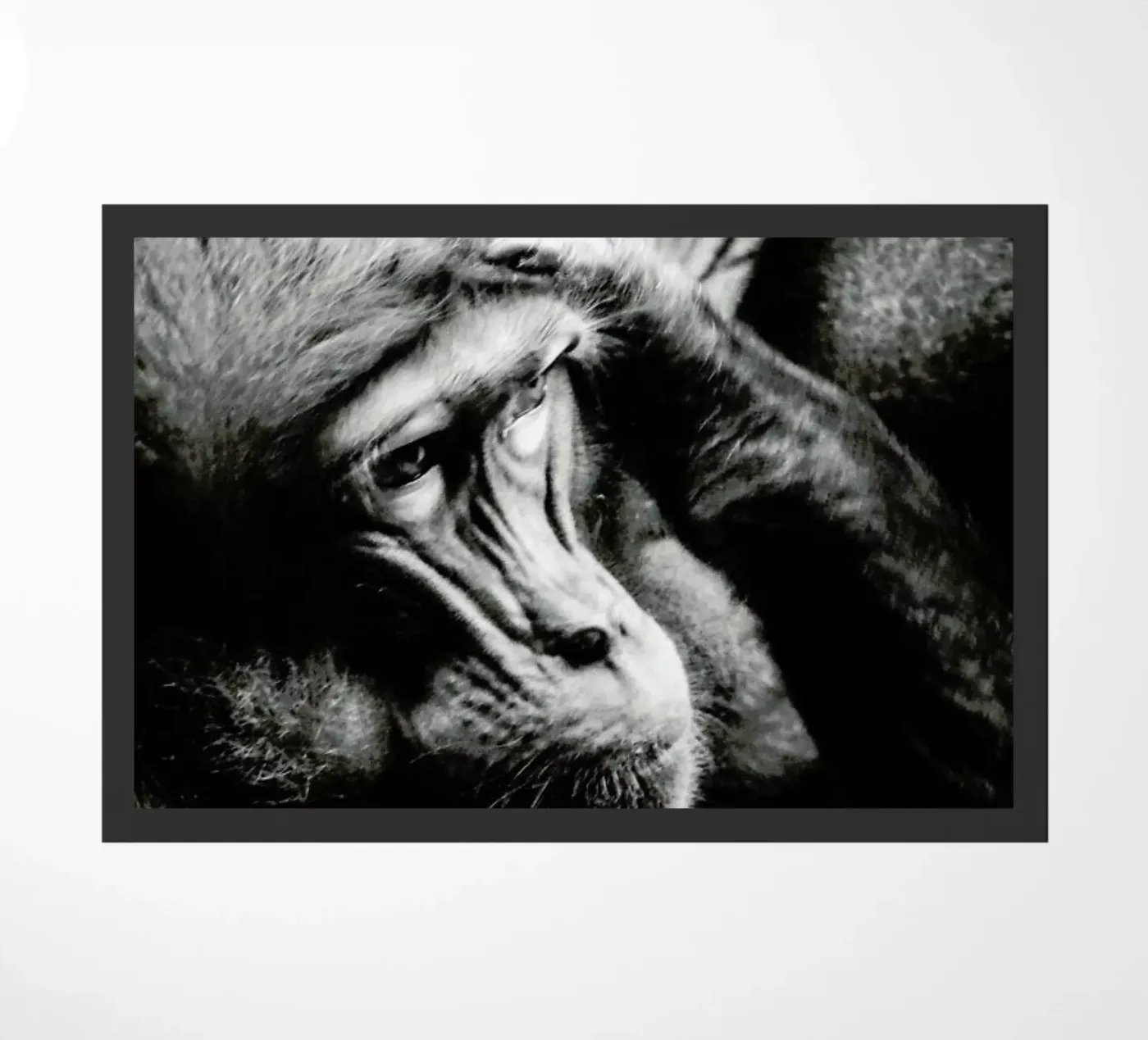 Monkey Grooming deurmat van Babett Schultze