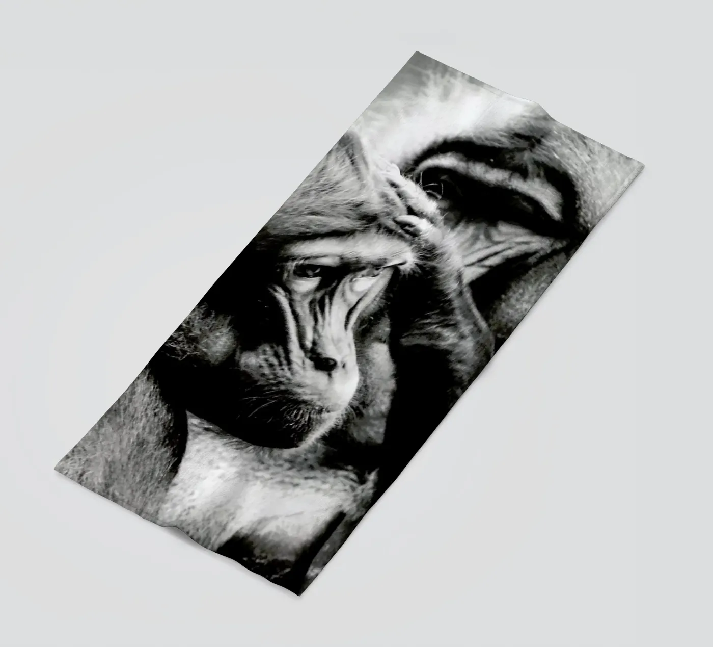 Monkey Grooming telo mare da Babett Schultze