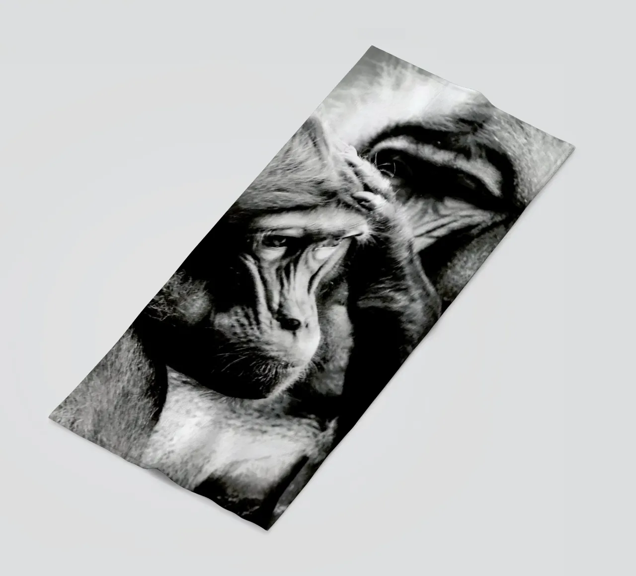 Monkey Grooming telo mare da Babett Schultze