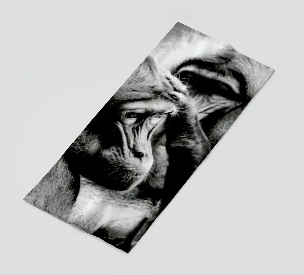 Monkey Grooming telo mare da Babett Schultze