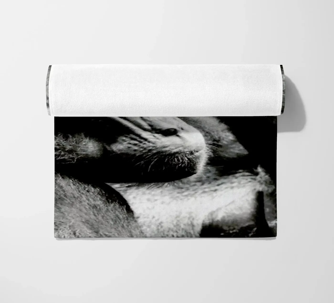 Monkey Grooming telo mare da Babett Schultze