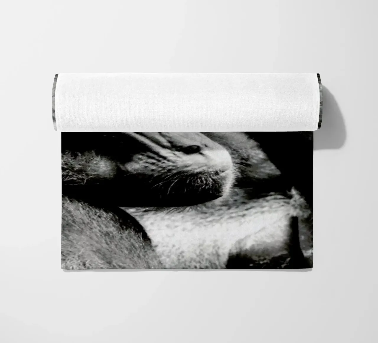 Monkey Grooming telo mare da Babett Schultze