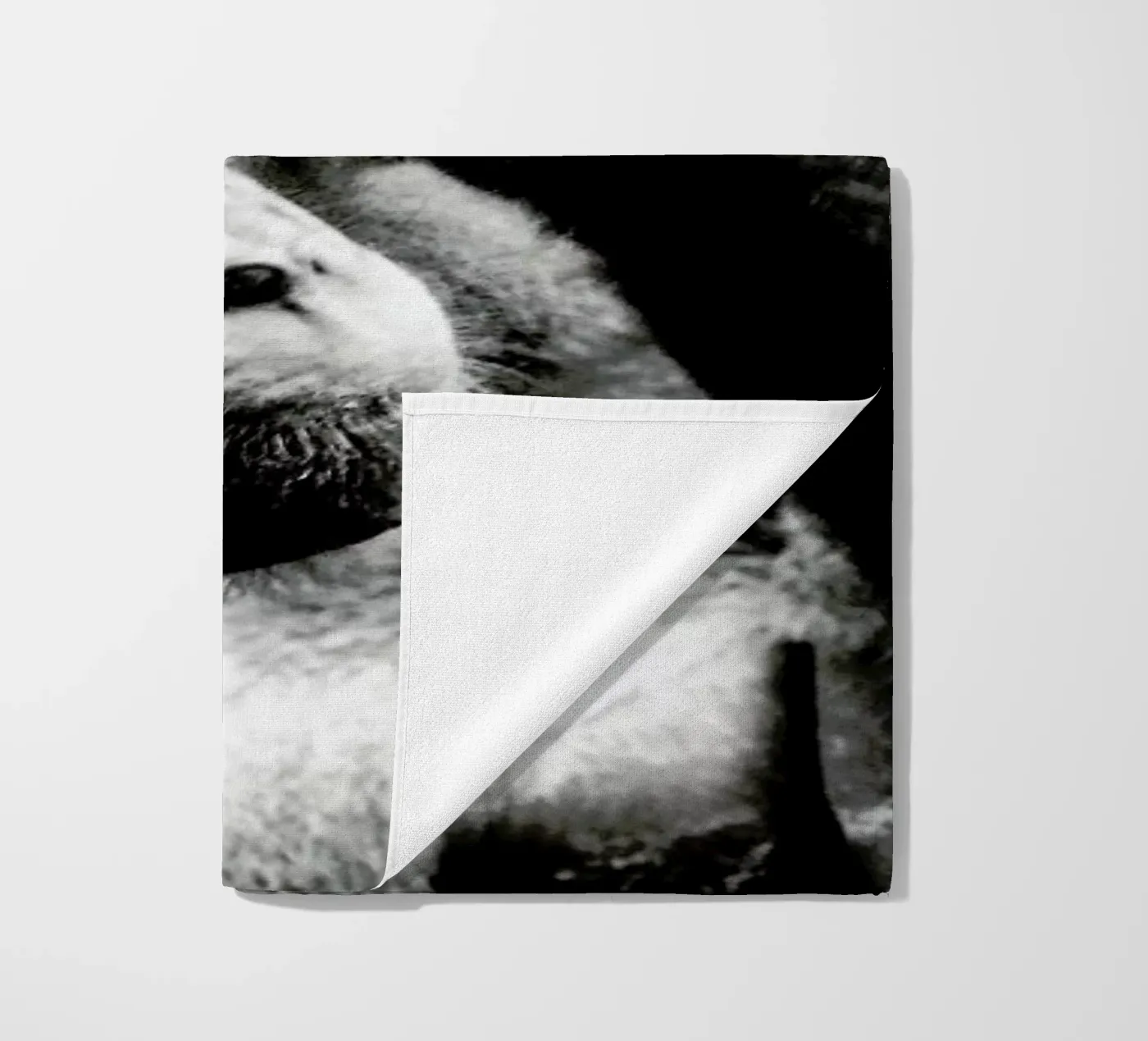 Monkey Grooming telo mare da Babett Schultze