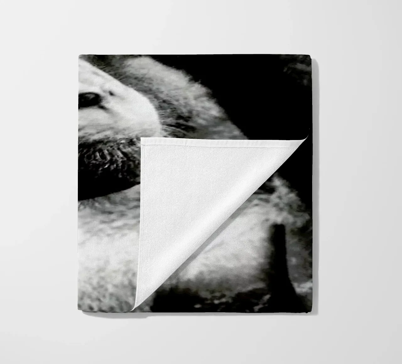 Monkey Grooming telo mare da Babett Schultze