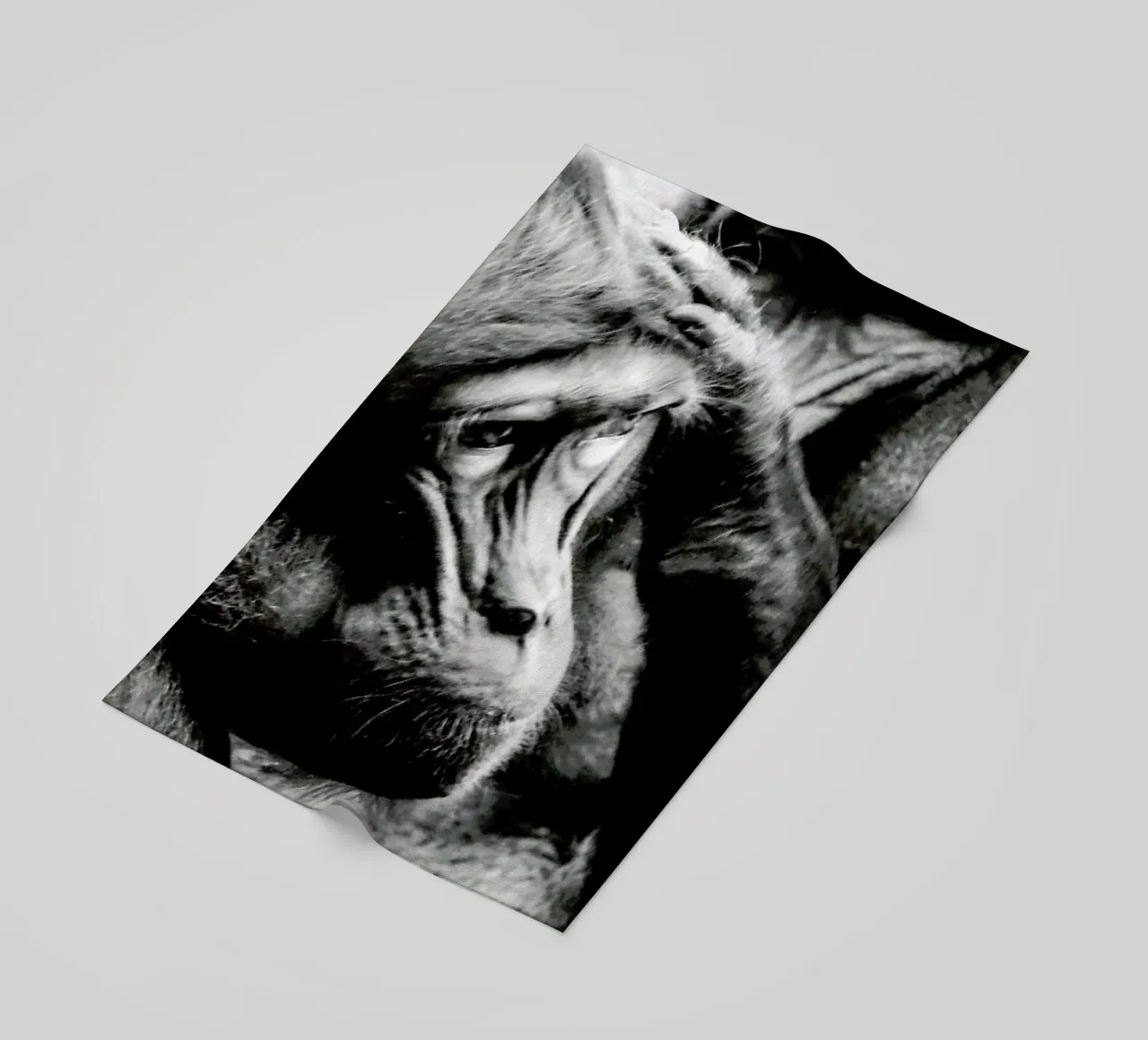 Monkey Grooming telo mare da Babett Schultze