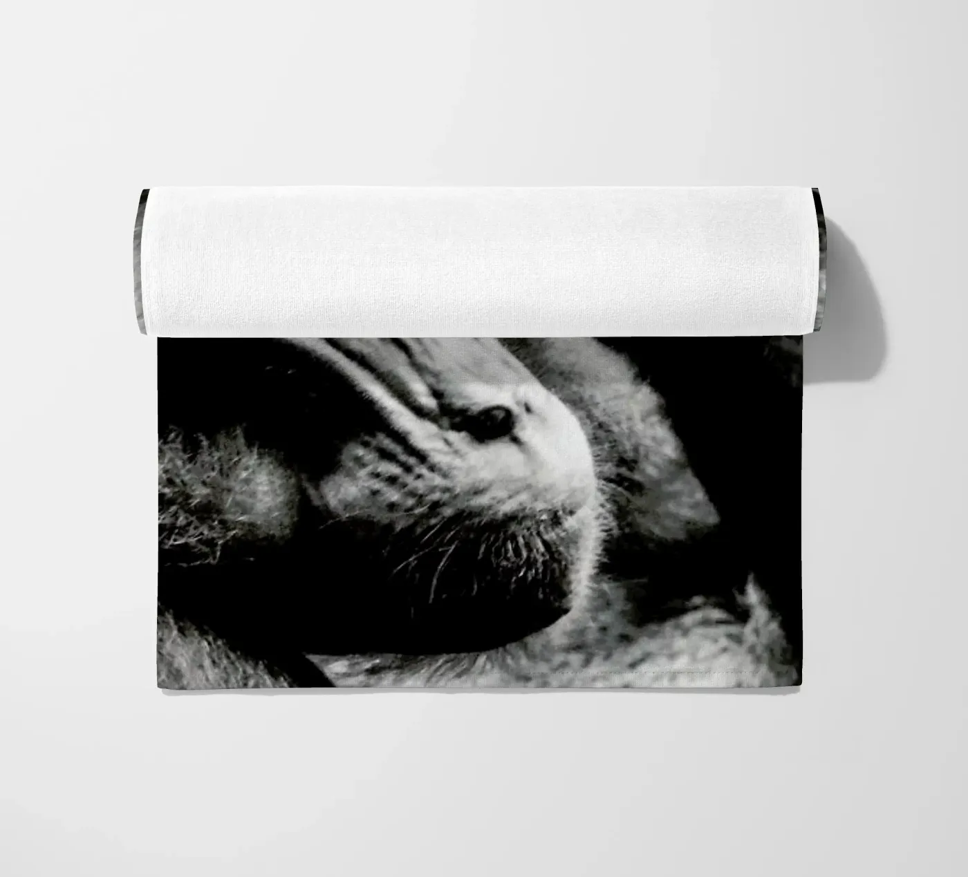 Monkey Grooming telo mare da Babett Schultze