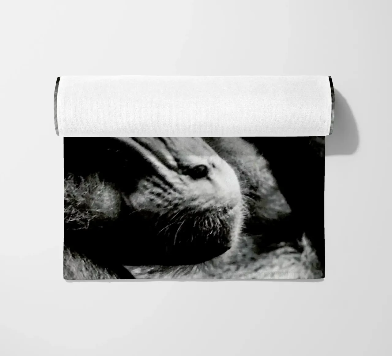 Monkey Grooming telo mare da Babett Schultze