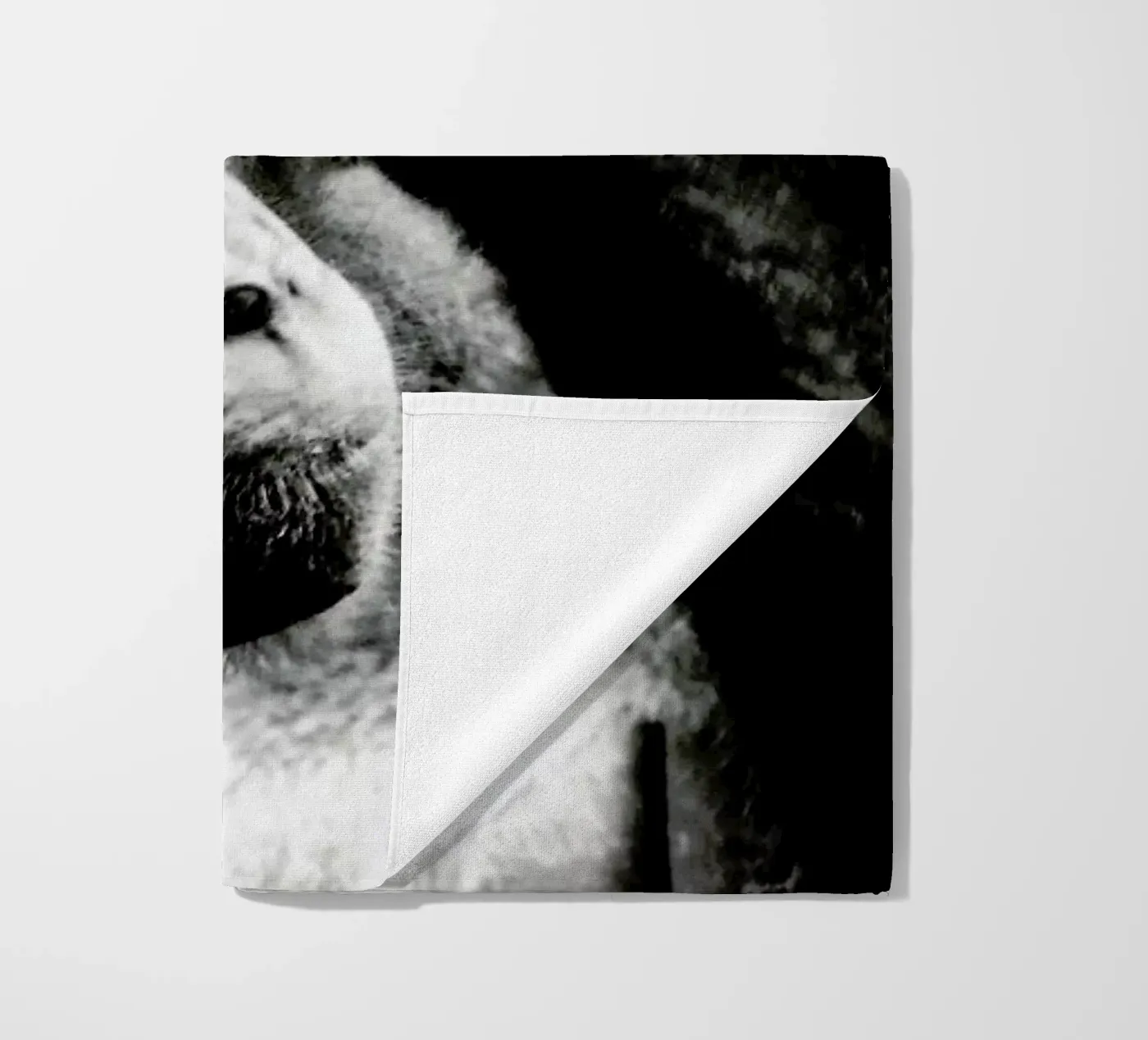 Monkey Grooming telo mare da Babett Schultze