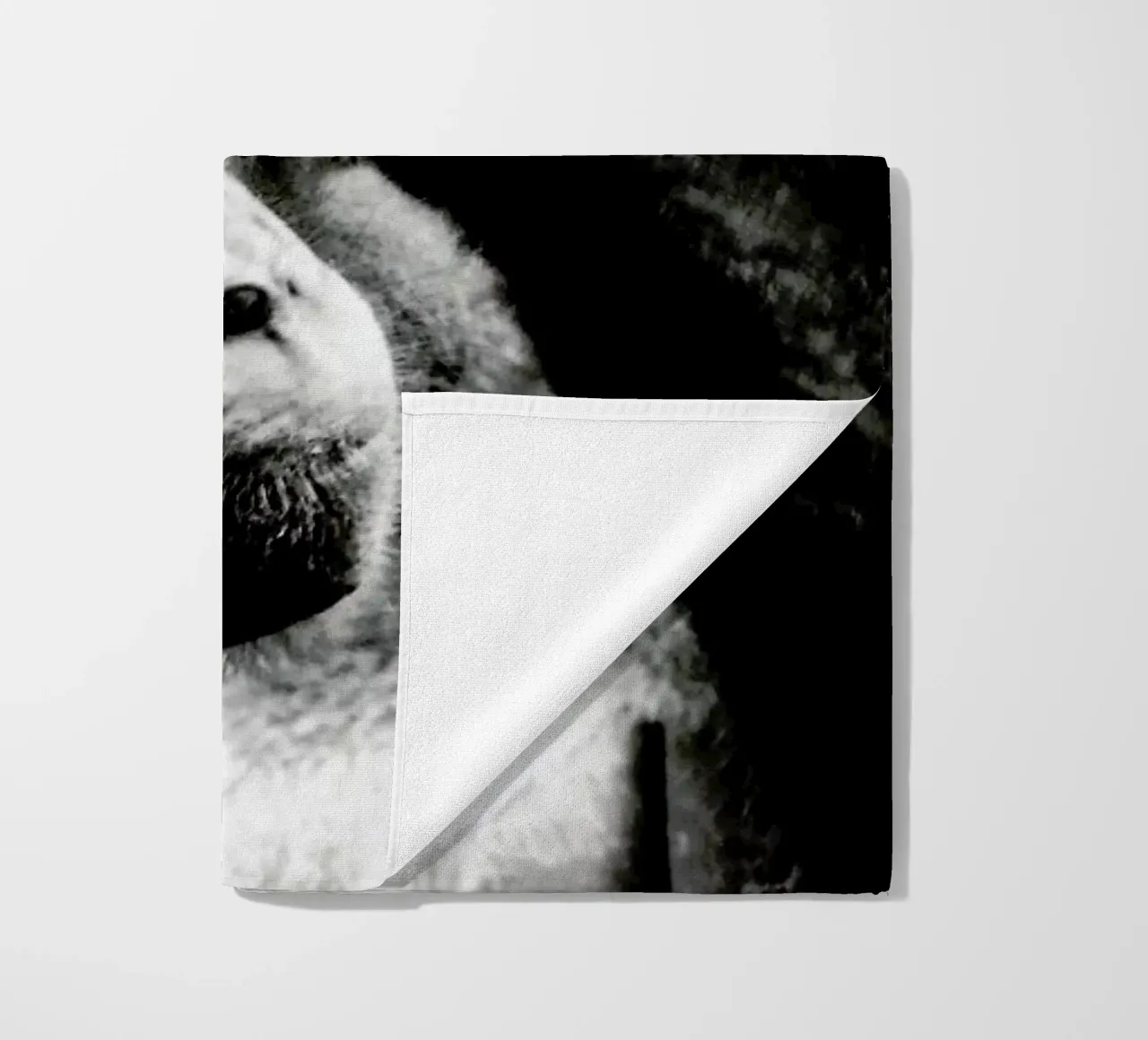 Monkey Grooming telo mare da Babett Schultze