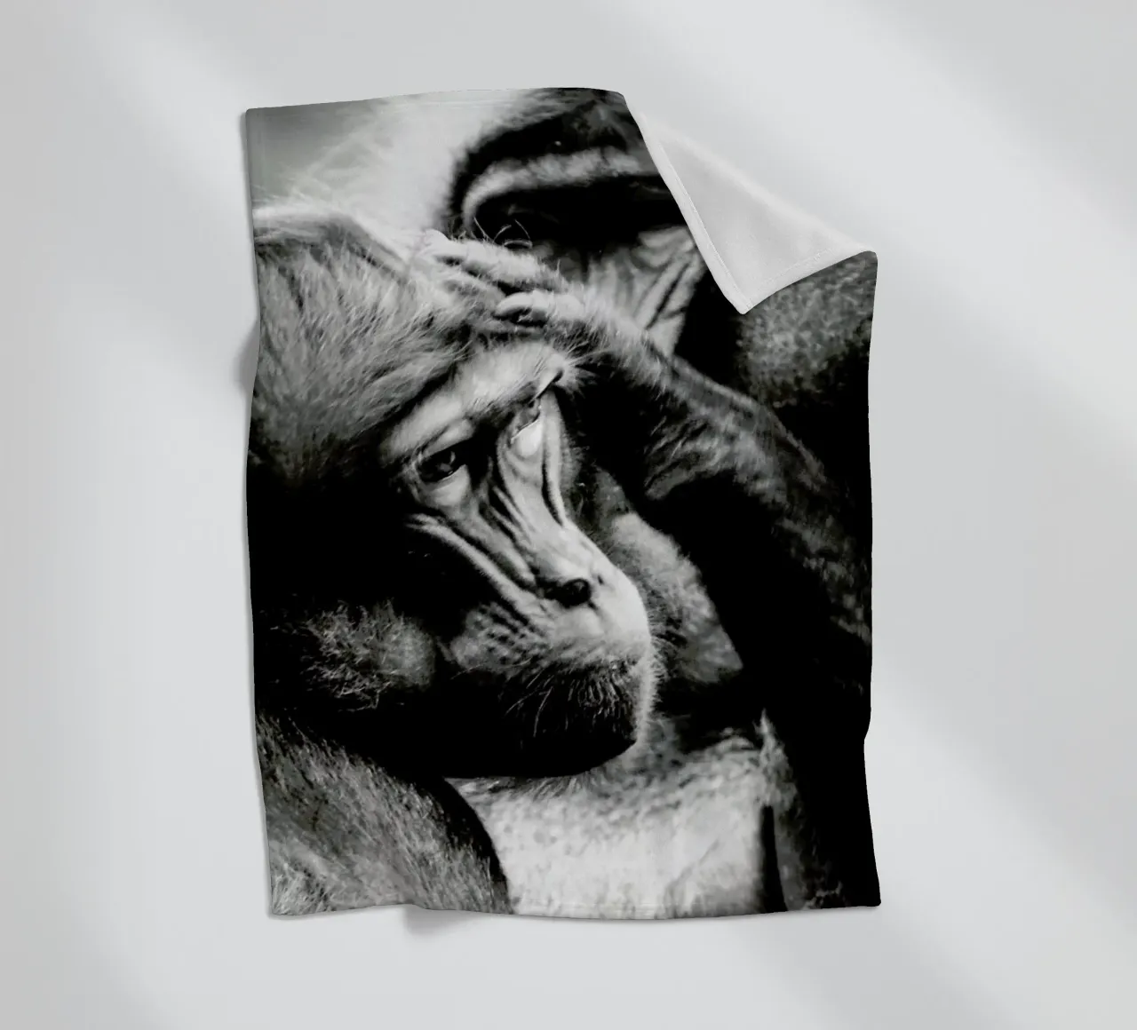 Monkey Grooming coperta in pile da Babett Schultze