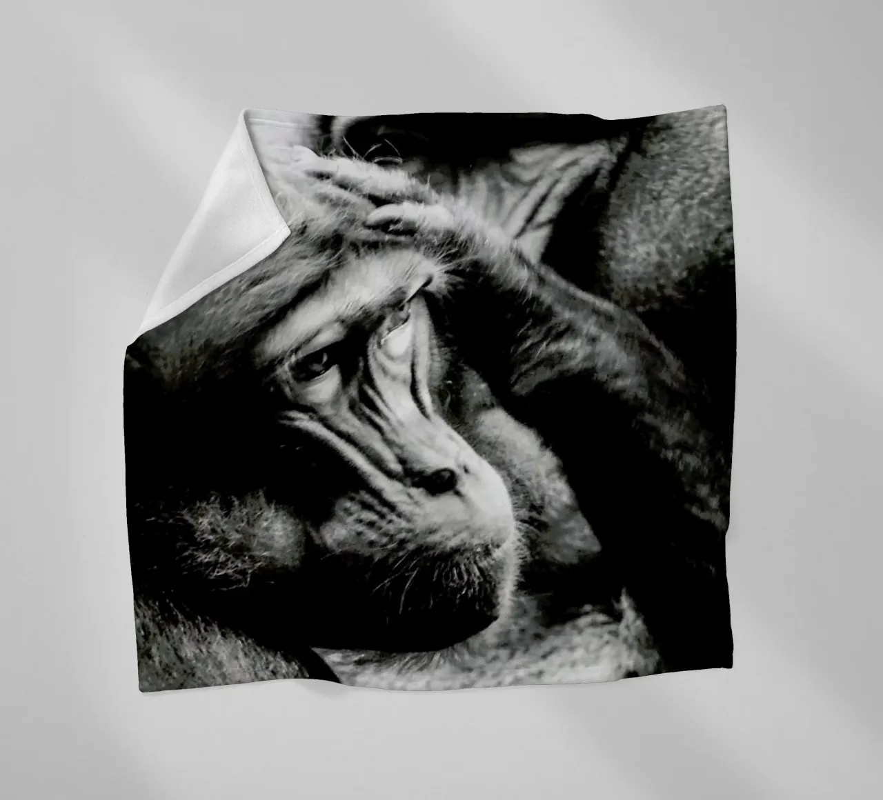 Monkey Grooming coperta in pile da Babett Schultze