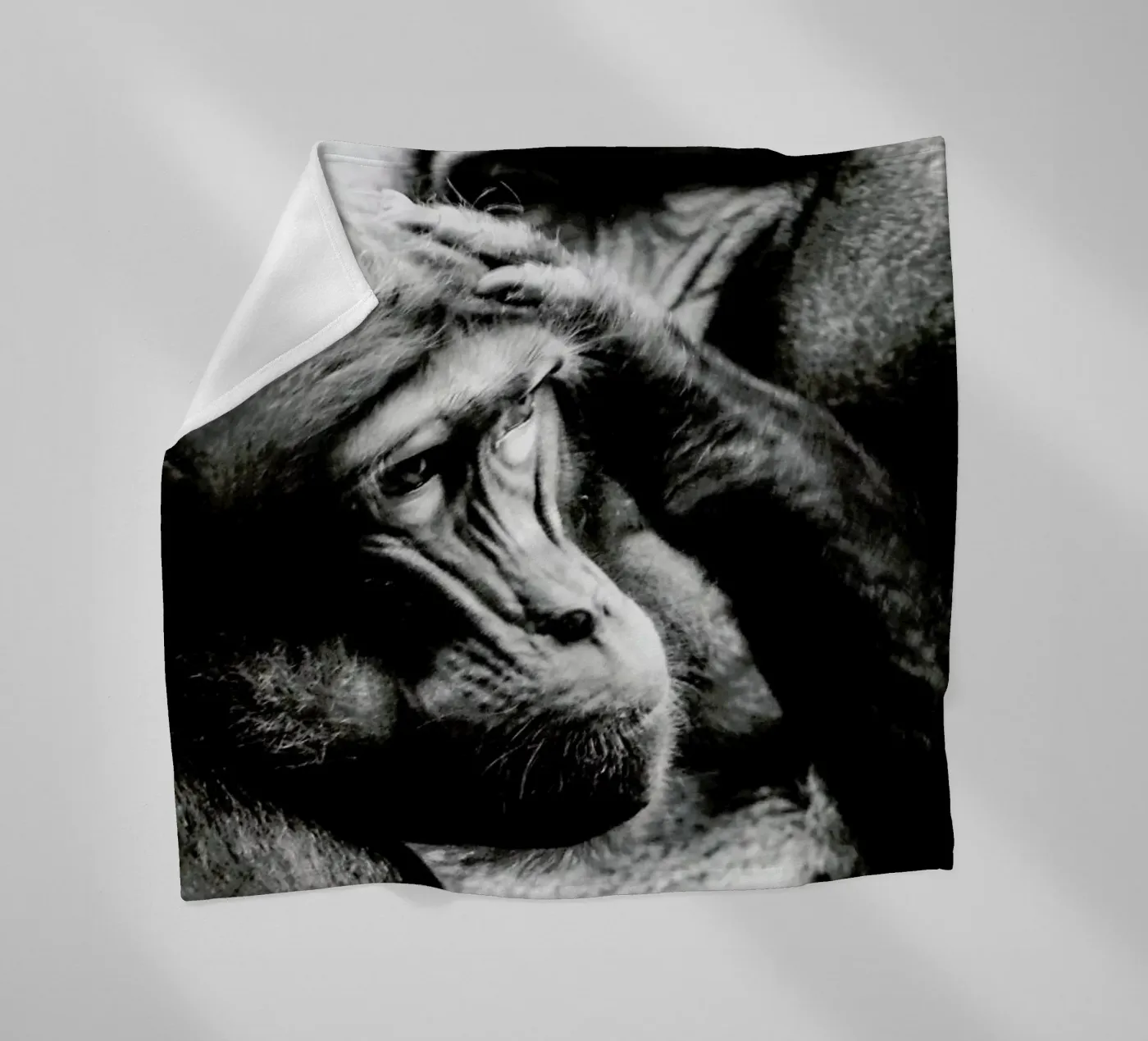 Monkey Grooming Fleecedecke von Babett Schultze