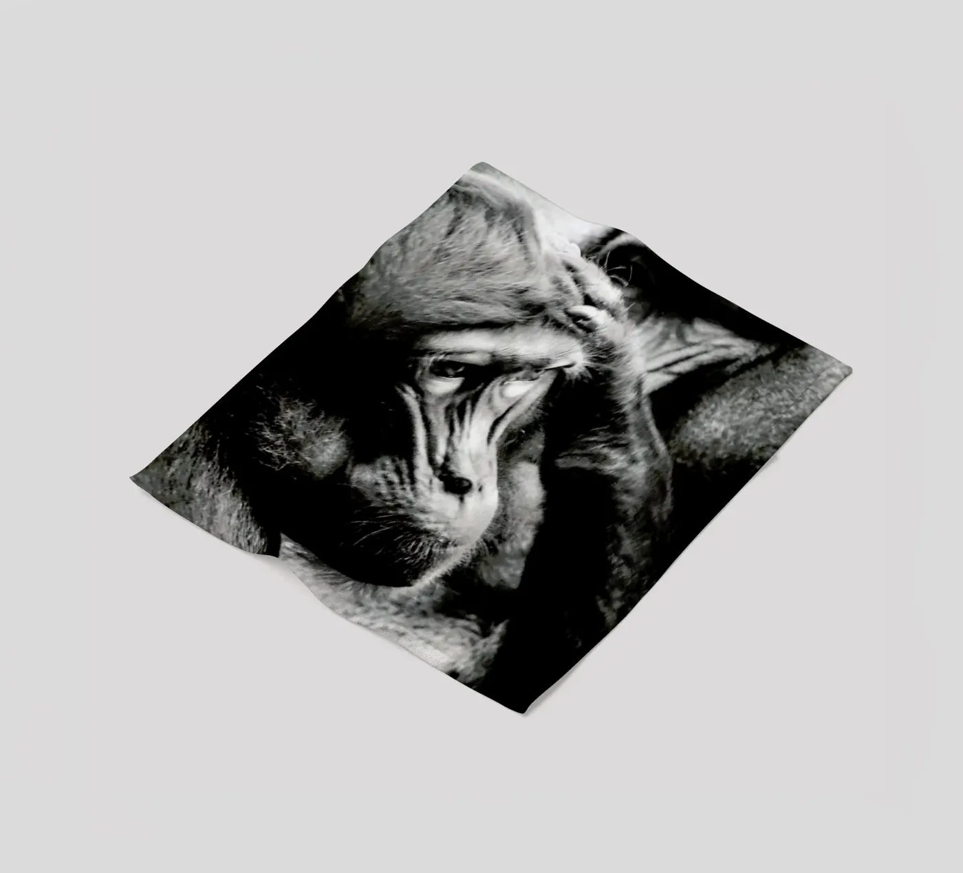 Monkey Grooming Fleecedecke von Babett Schultze