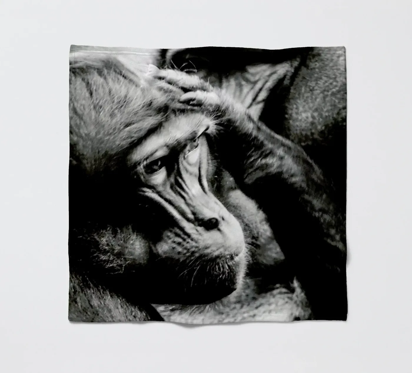 Monkey Grooming Fleecedecke von Babett Schultze