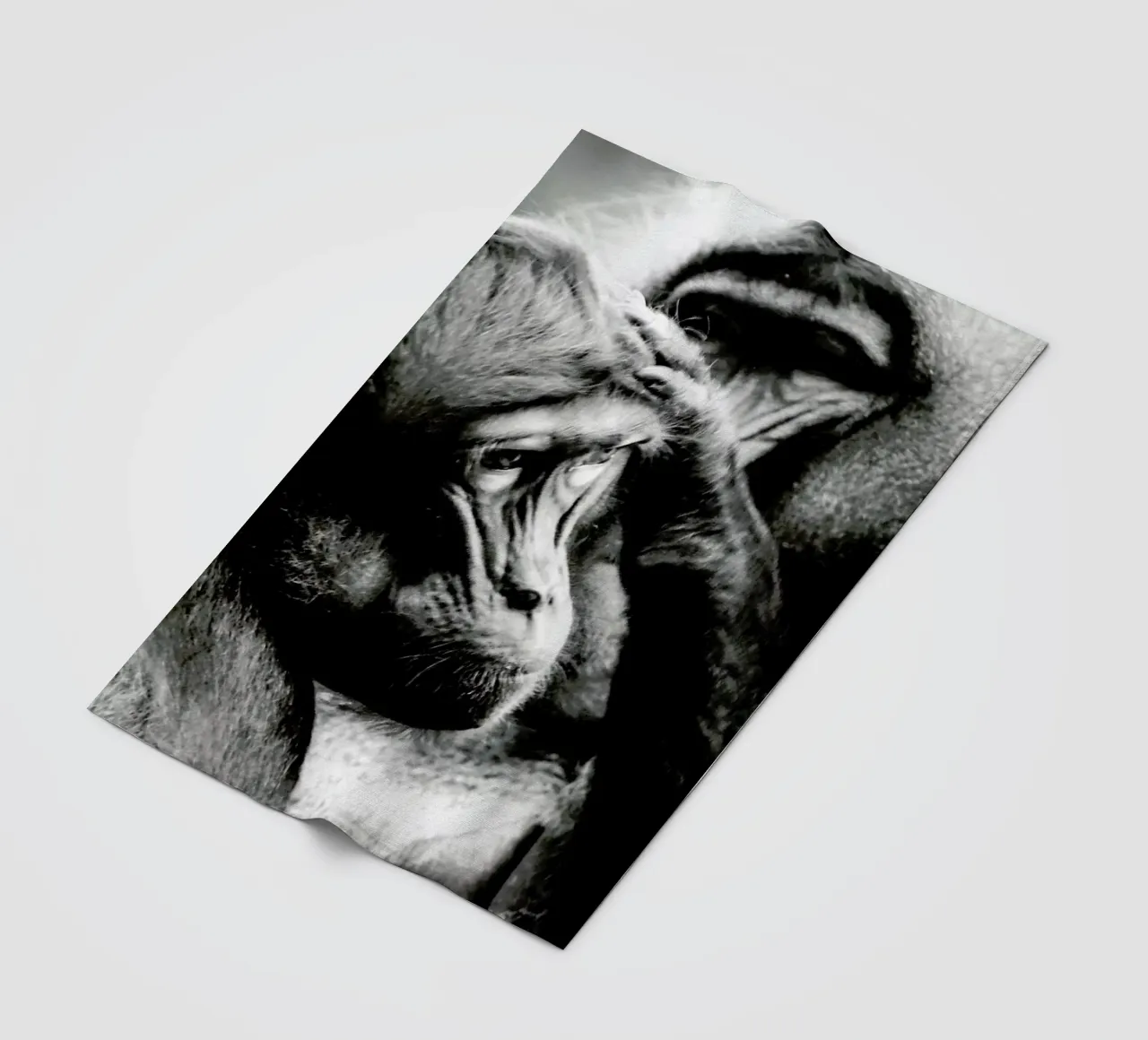 Monkey Grooming coperta in pile da Babett Schultze