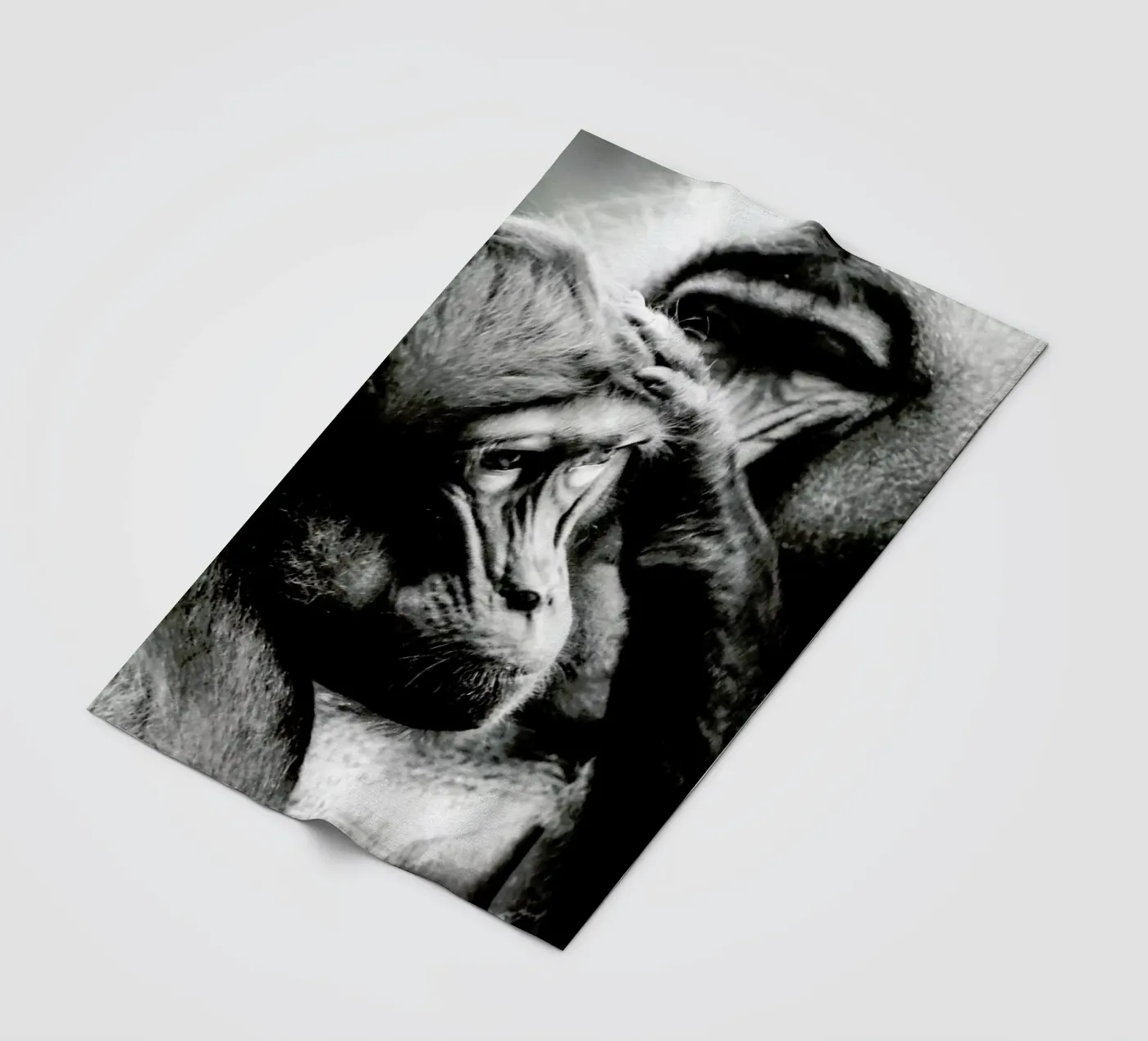 Monkey Grooming Fleecedecke von Babett Schultze