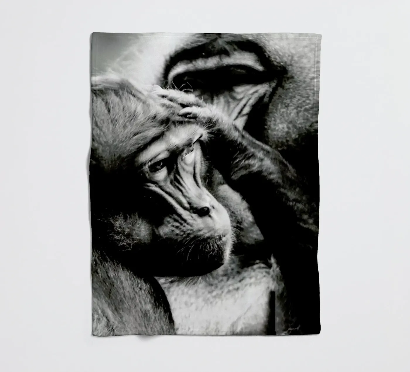 Monkey Grooming Fleecedecke von Babett Schultze