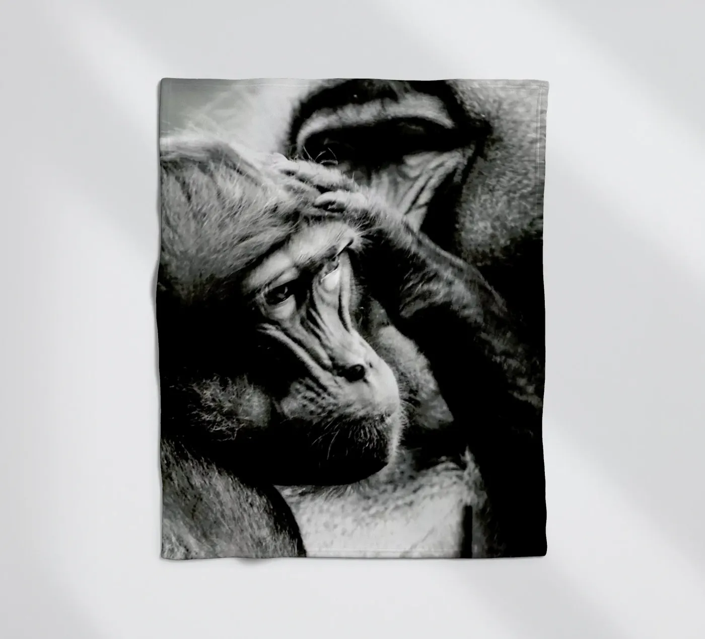 Monkey Grooming Fleecedecke von Babett Schultze
