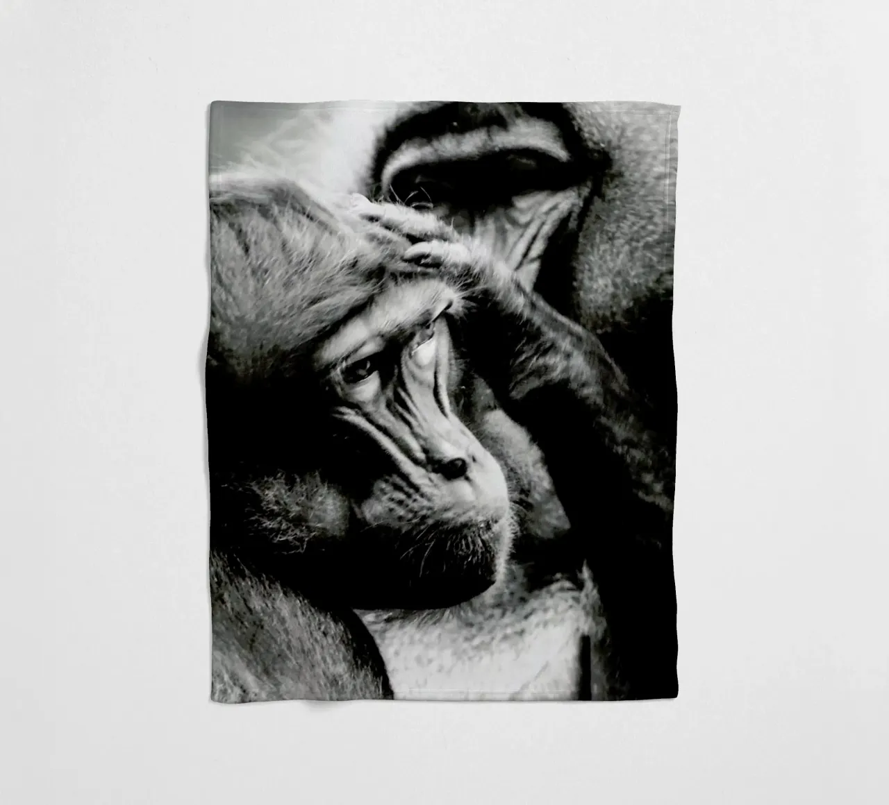 Monkey Grooming coperta in pile da Babett Schultze