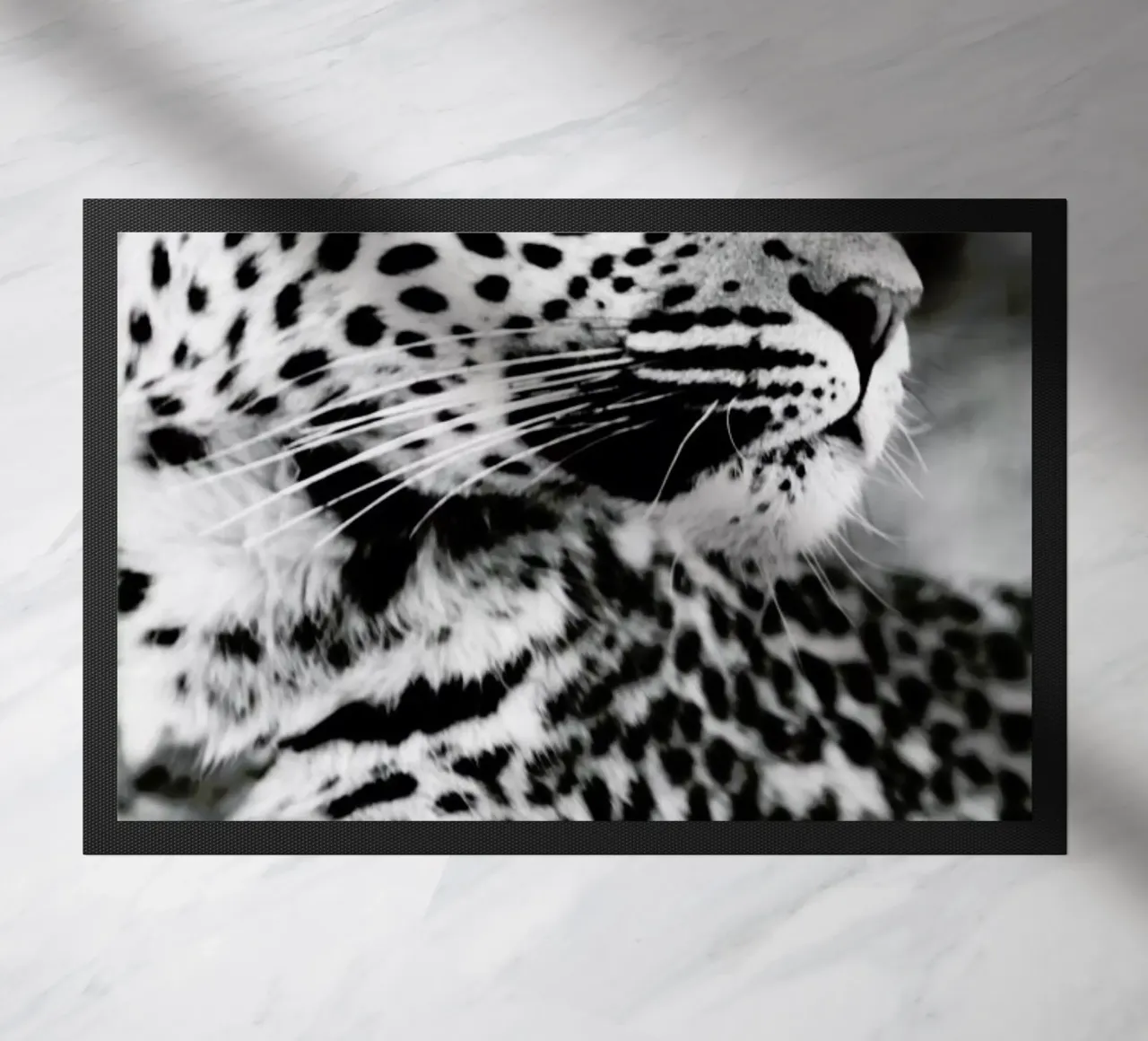 A Leopard's Spots zerbino da Natural Kingdom