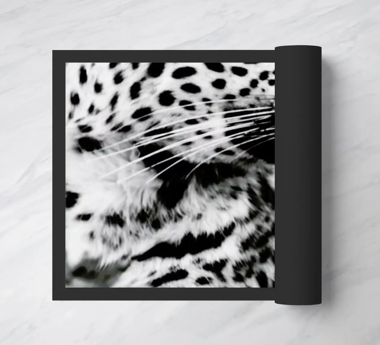 A Leopard's Spots zerbino da Natural Kingdom