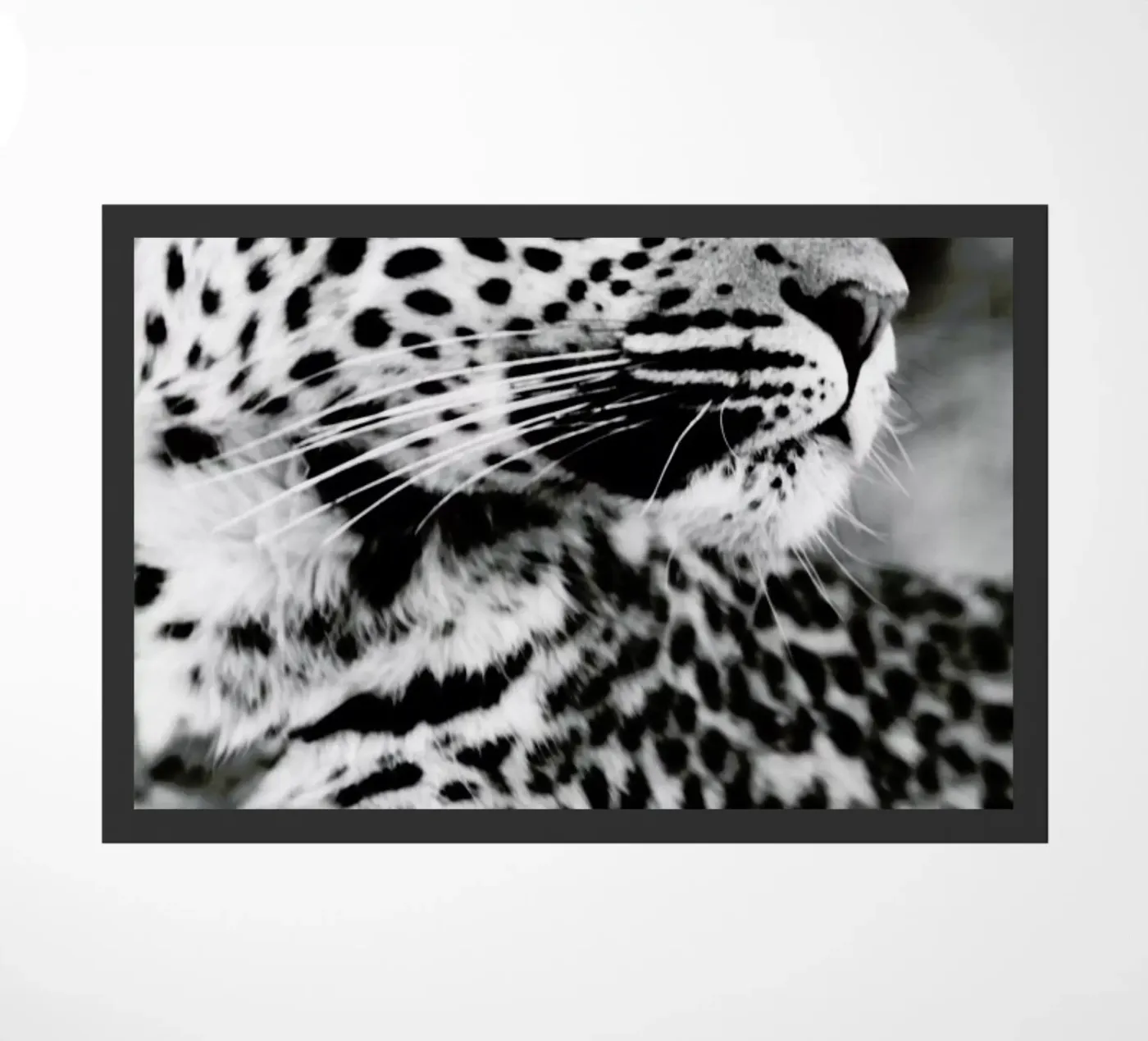 A Leopard's Spots doormat by Natural Kingdom