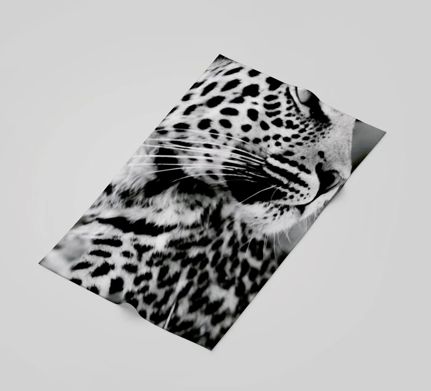 A Leopard's Spots telo mare da Natural Kingdom