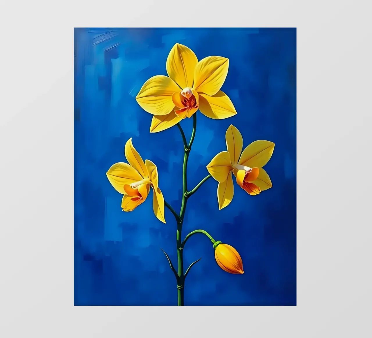 Orchidea_Stile_D_1 pellicola backlit da Farb- und Blütenzauber by LK