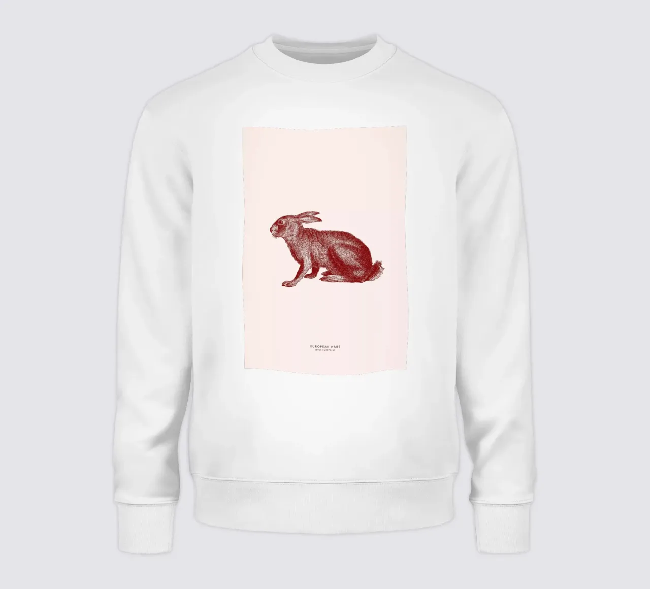 European Hare II sweatshirt by Flora & Fauna