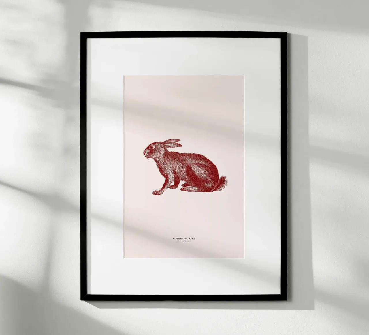 European Hare II poster con telaio in alluminio da Flora & Fauna