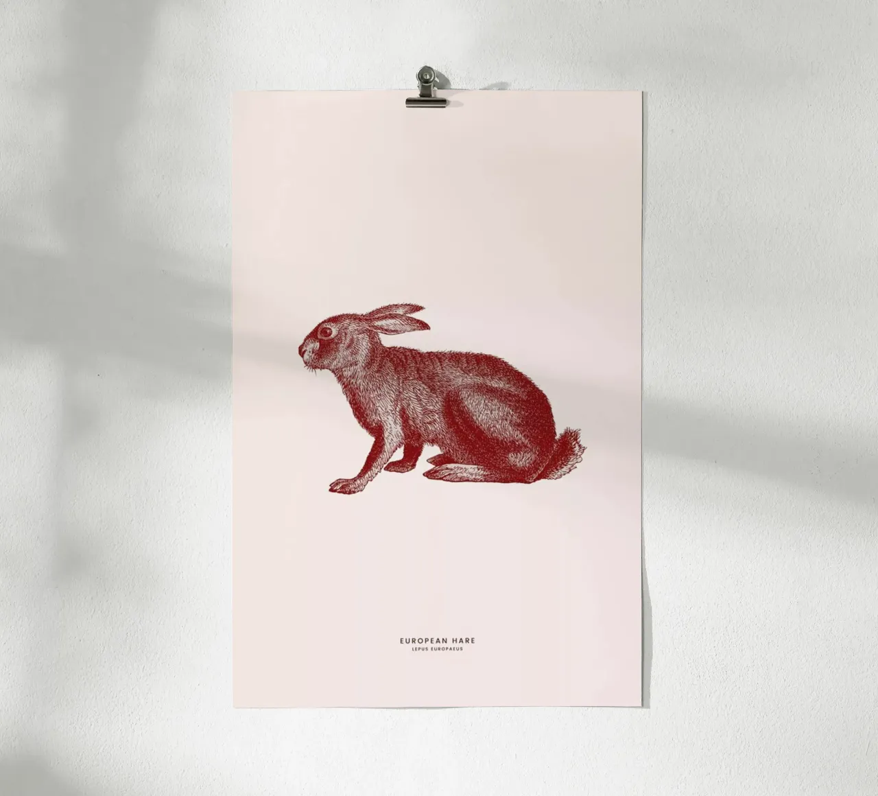 European Hare II poster con telaio in alluminio da Flora & Fauna