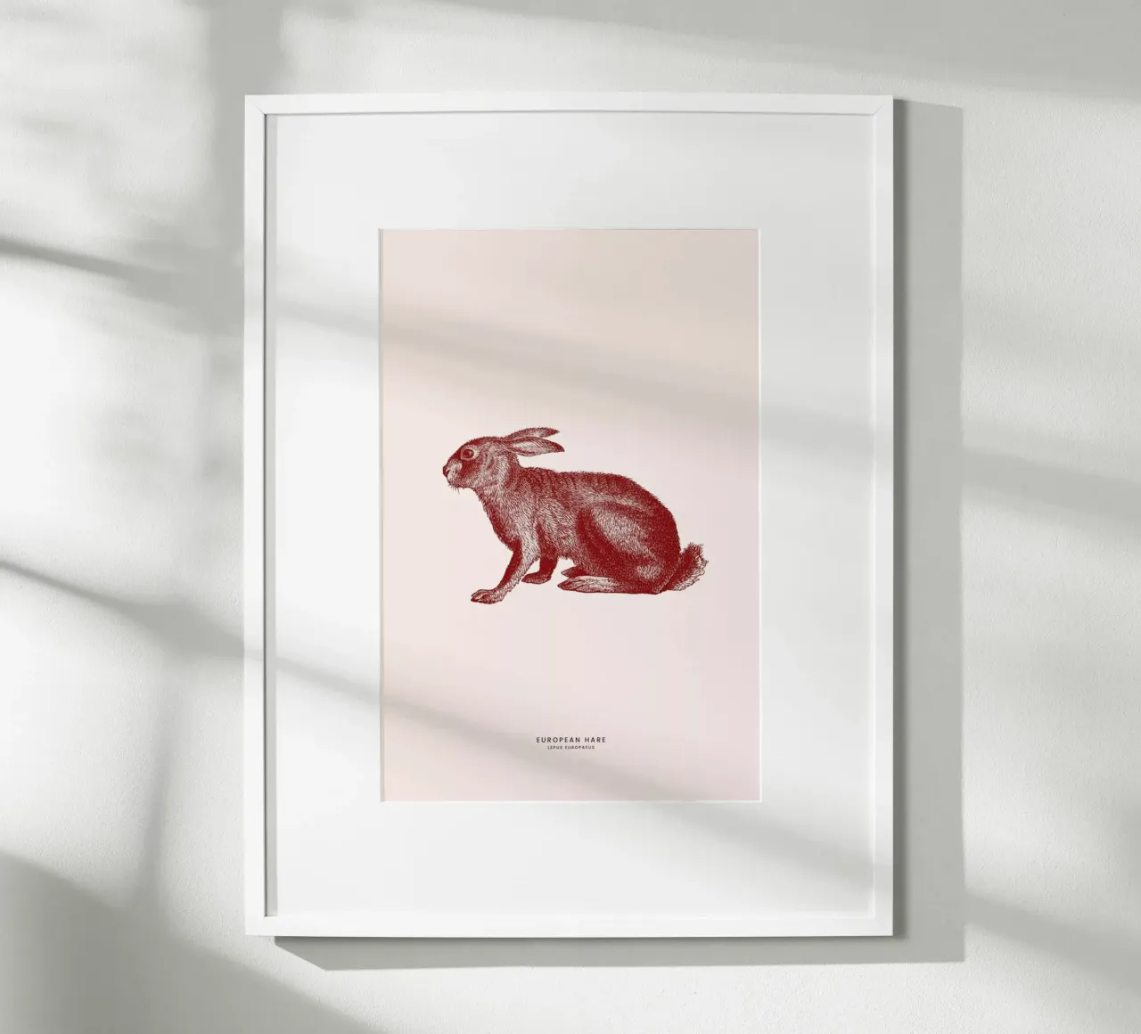 European Hare II poster con telaio in alluminio da Flora & Fauna
