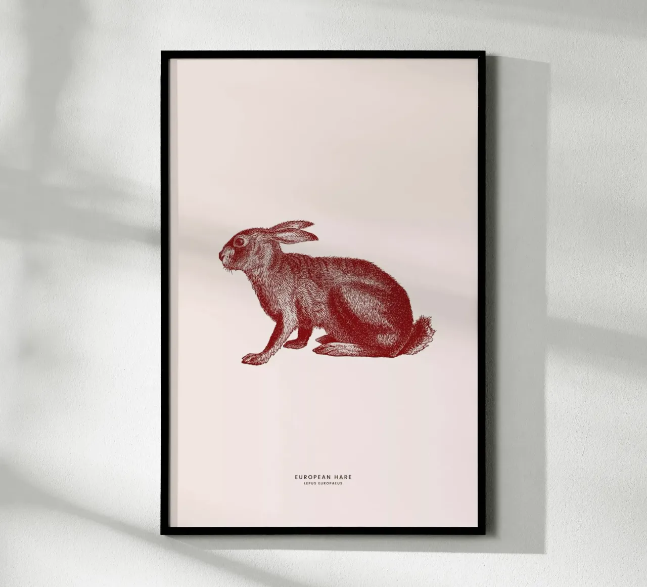 European Hare II poster con telaio in alluminio da Flora & Fauna
