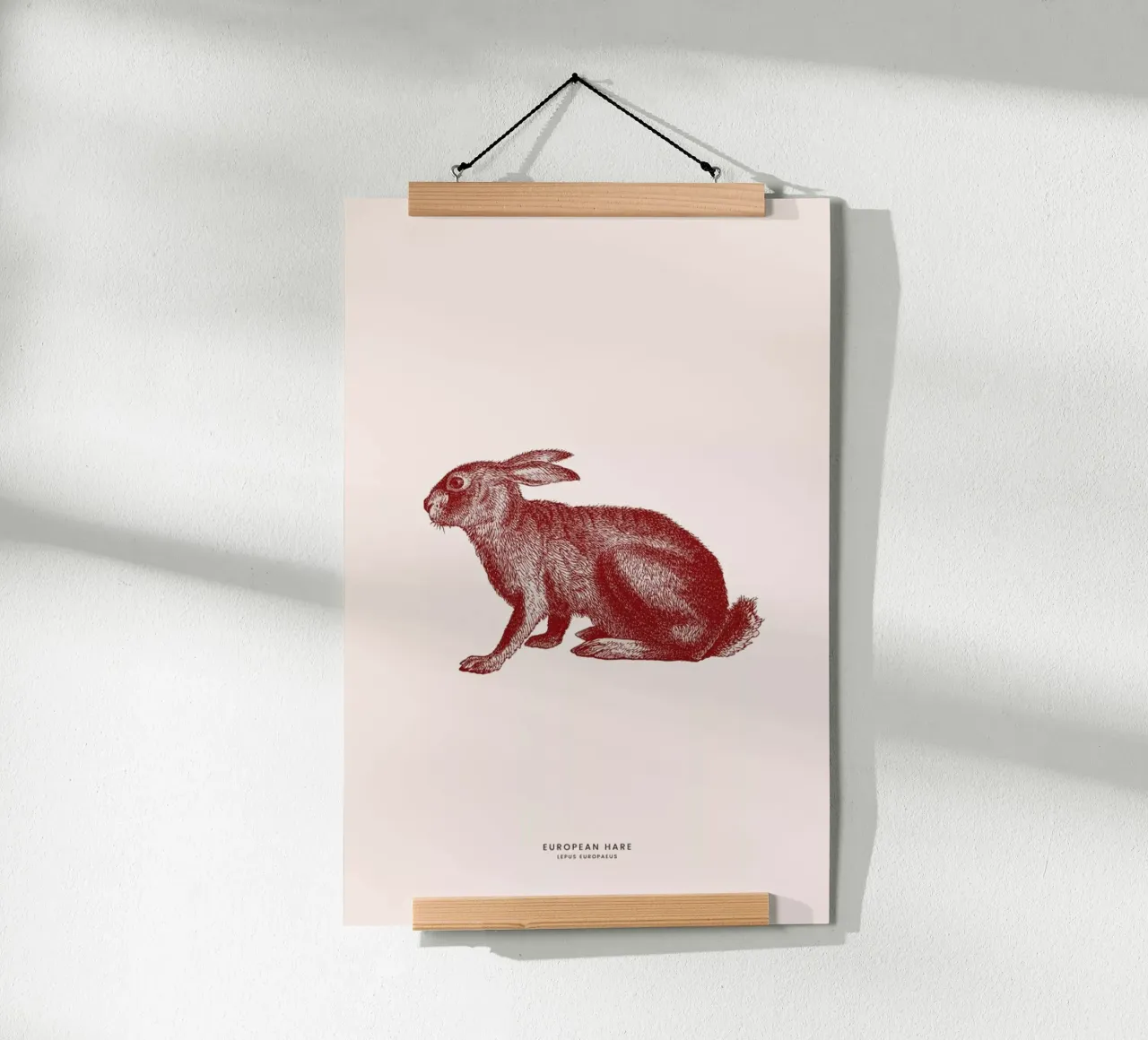 European Hare II poster con telaio in alluminio da Flora & Fauna