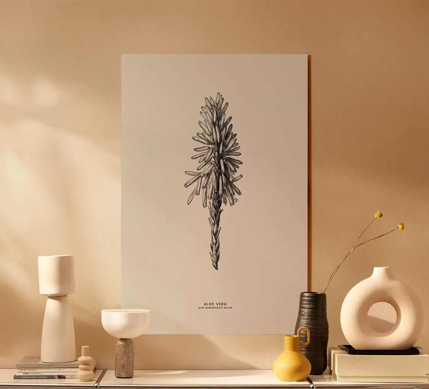 Aloe Vera plexiglass da Flora & Fauna